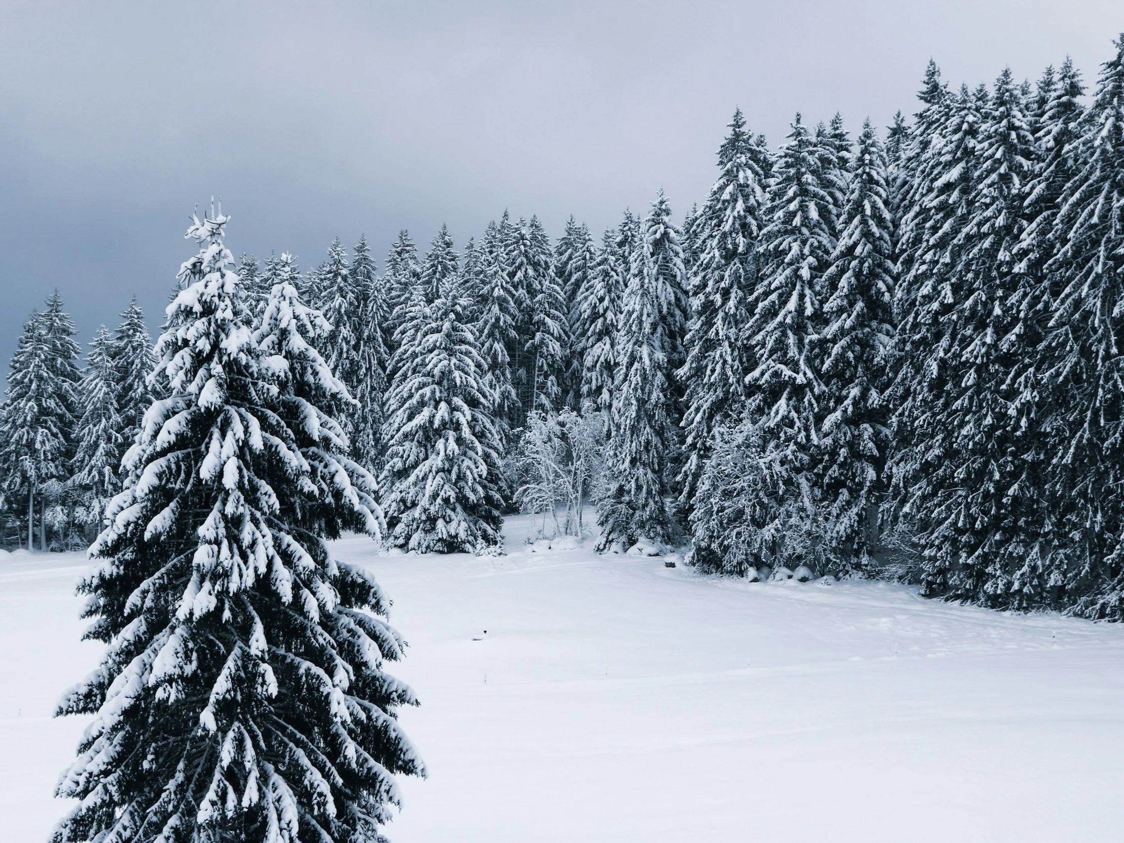 God Doesn’t Anoint Statues; He Anoints Movers. Every Step You Take In Obedience Ignites A Spiritual Force That Fear Has No Authority To Challenge.