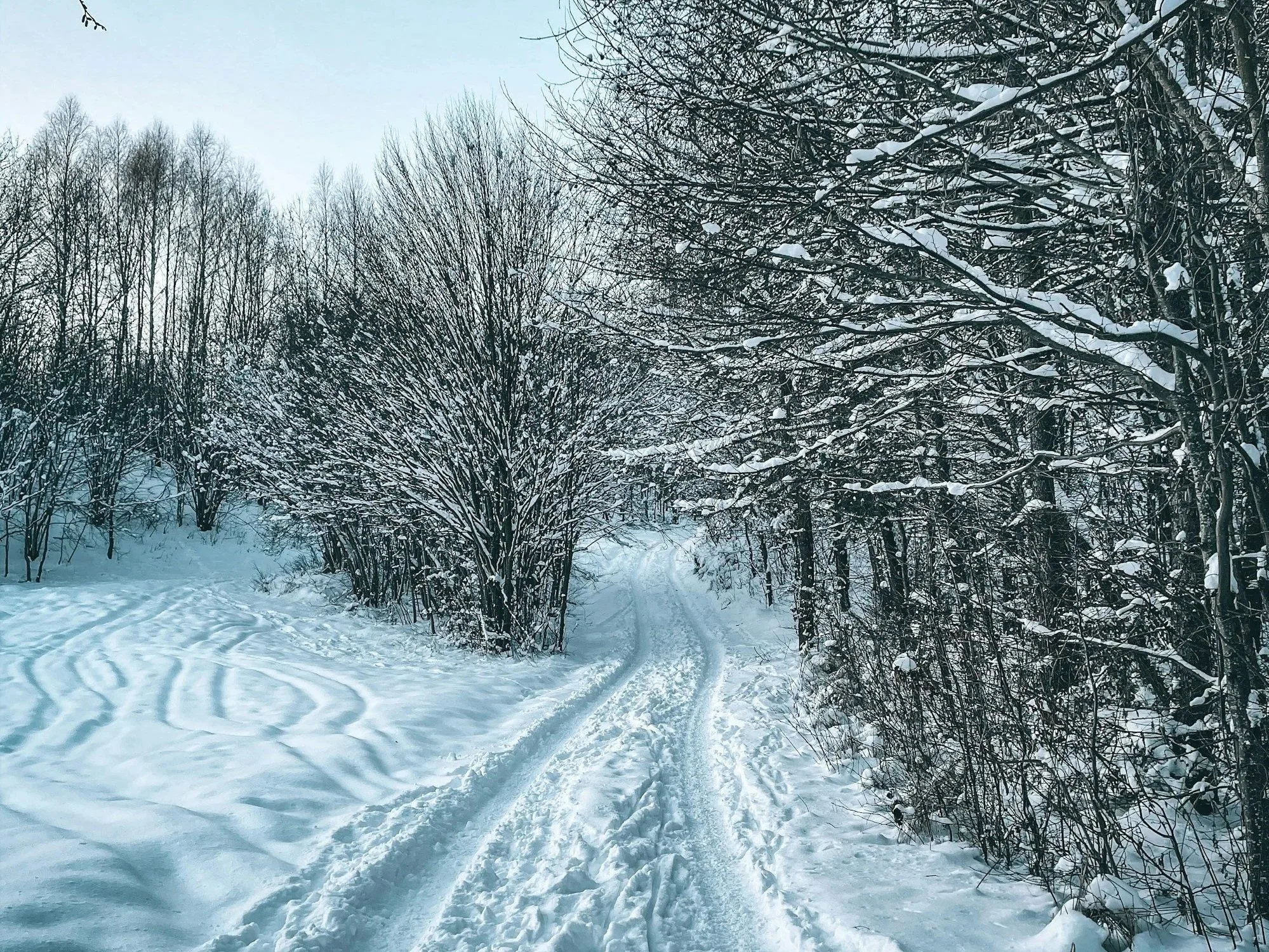 You Weren’t Chosen To Shrink — You Were Chosen To Shake Atmospheres. When You Walk Anointed, Even Silent Steps Make Hell Tremble.