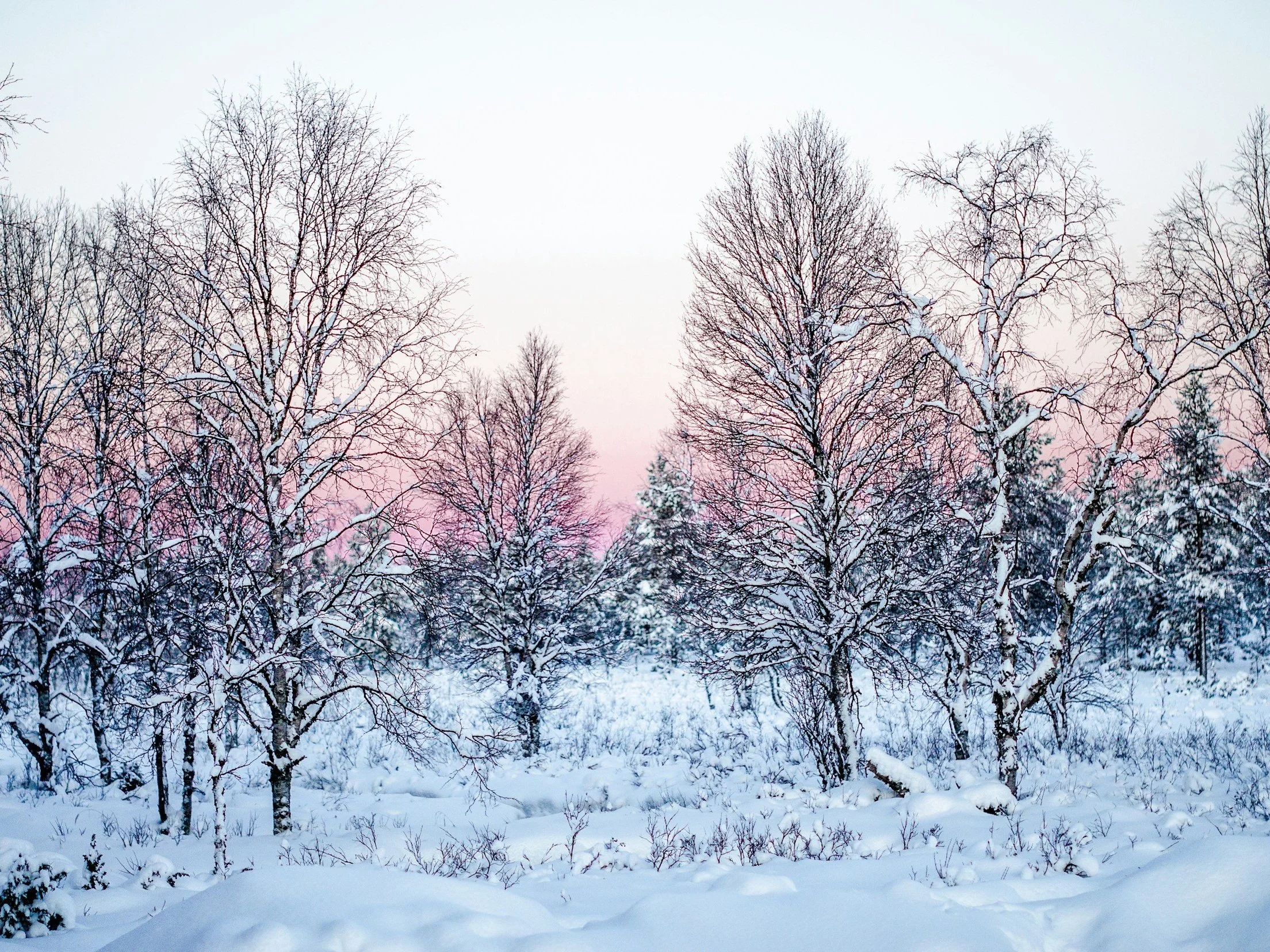 Fear Sees Obstacles, But The Anointing Sees Divine Assignment. When You Stop Waiting To “Feel Ready,” You Discover God Already Equipped You For Greatness.