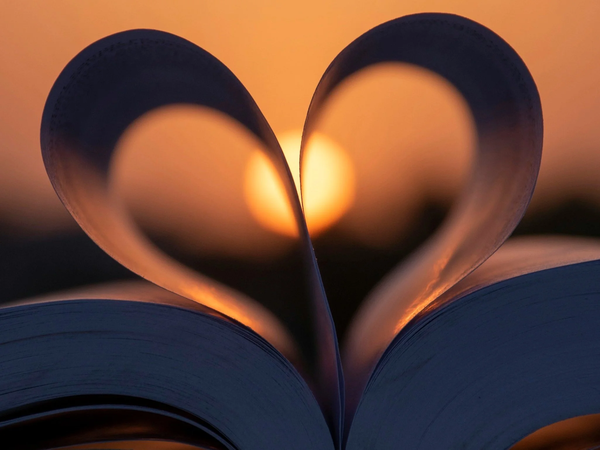 A Calm Spirit Hears What Chaos Hides. God Reveals Truth To Those Who Stay Rooted In His Word. When The Heart Is Steady, Deception Loses Its Voice.