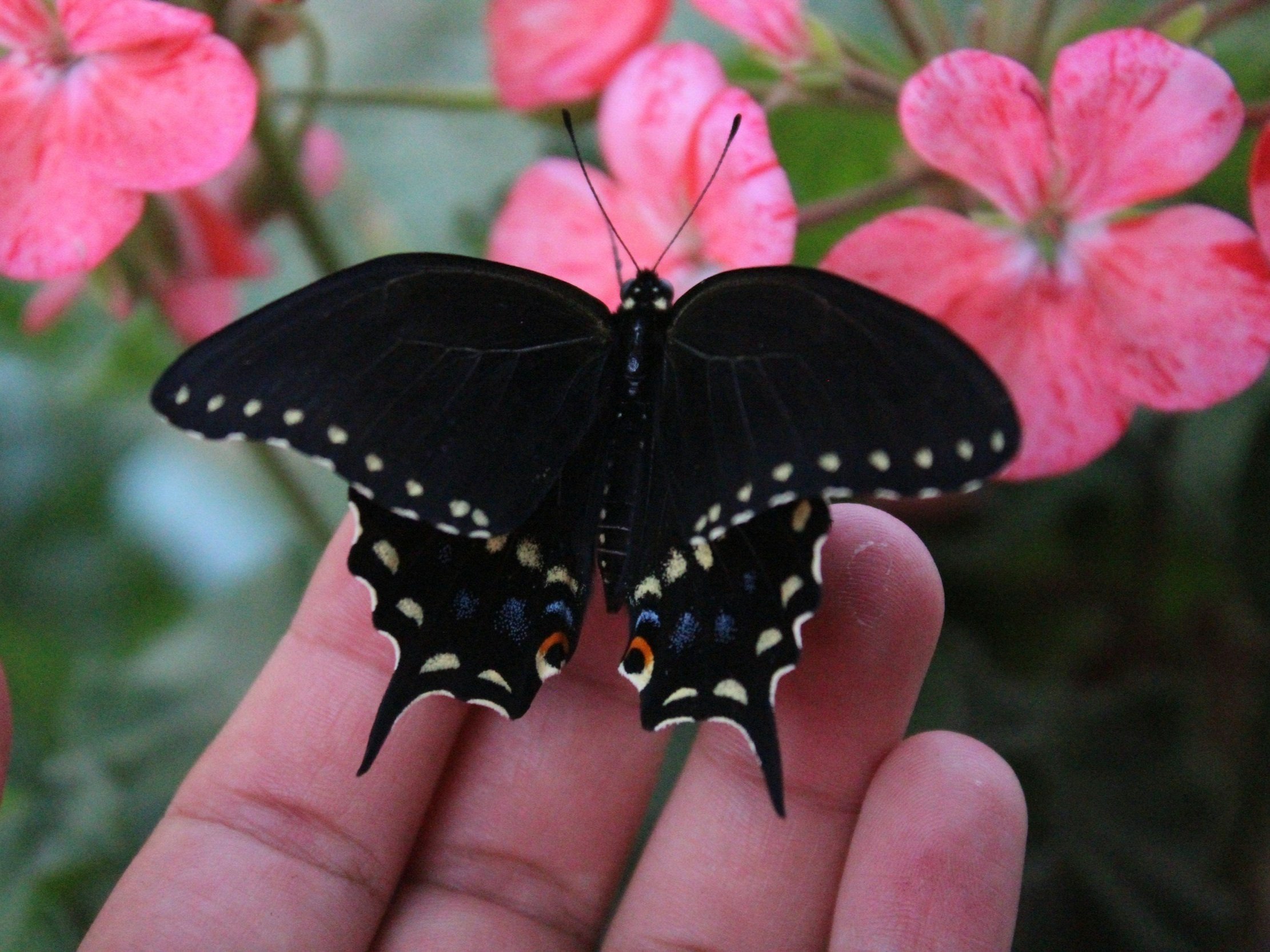 Changing Yourself Protects You From Unnecessary Pain. When You Stop Living For Others’ Drama, You Finally Hear God’s Voice Clearly.