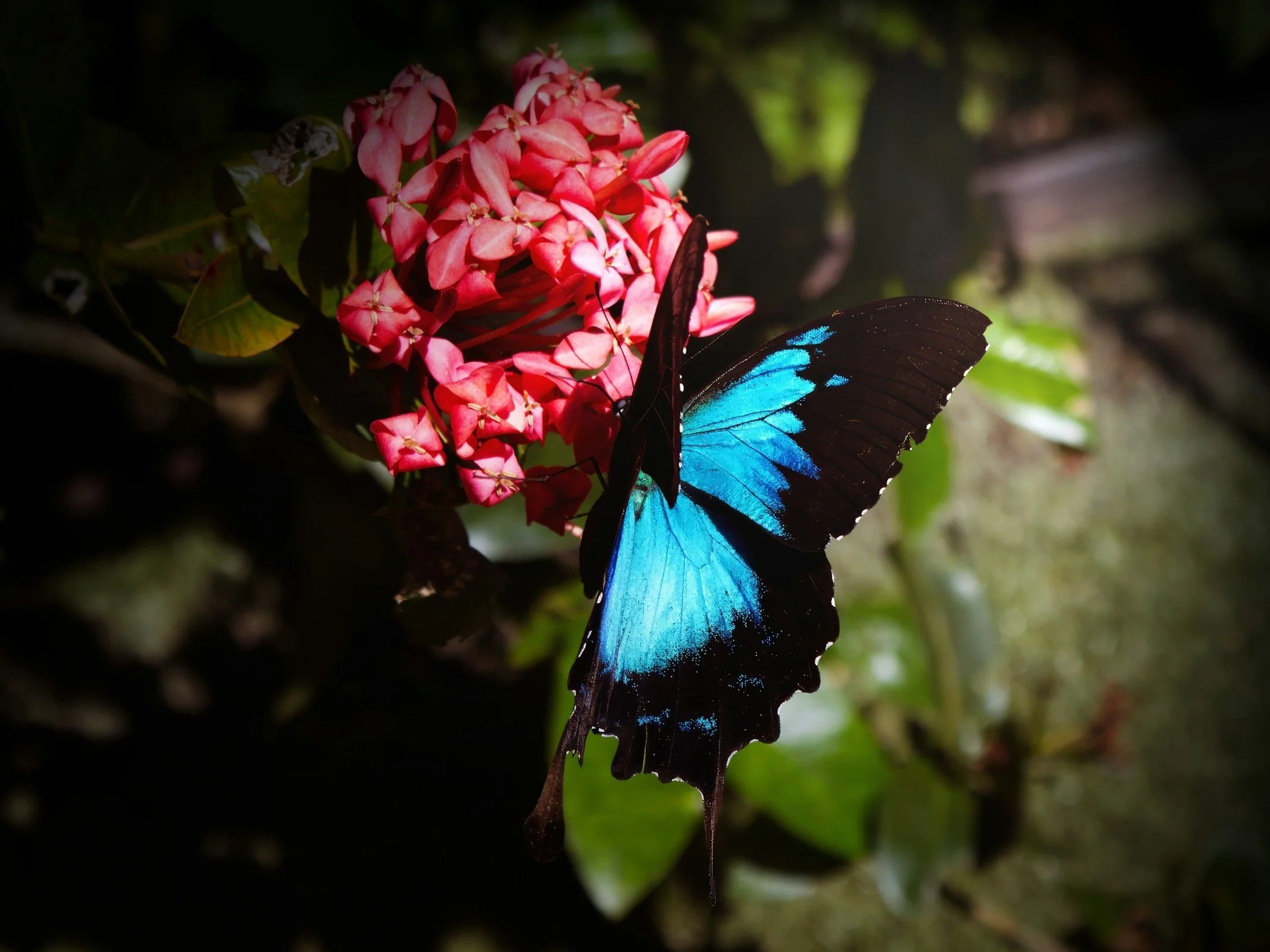 You Cannot Force Loyalty, But You Can Choose Dignity. When You Change How You Value Yourself, God Changes What Surrounds You.