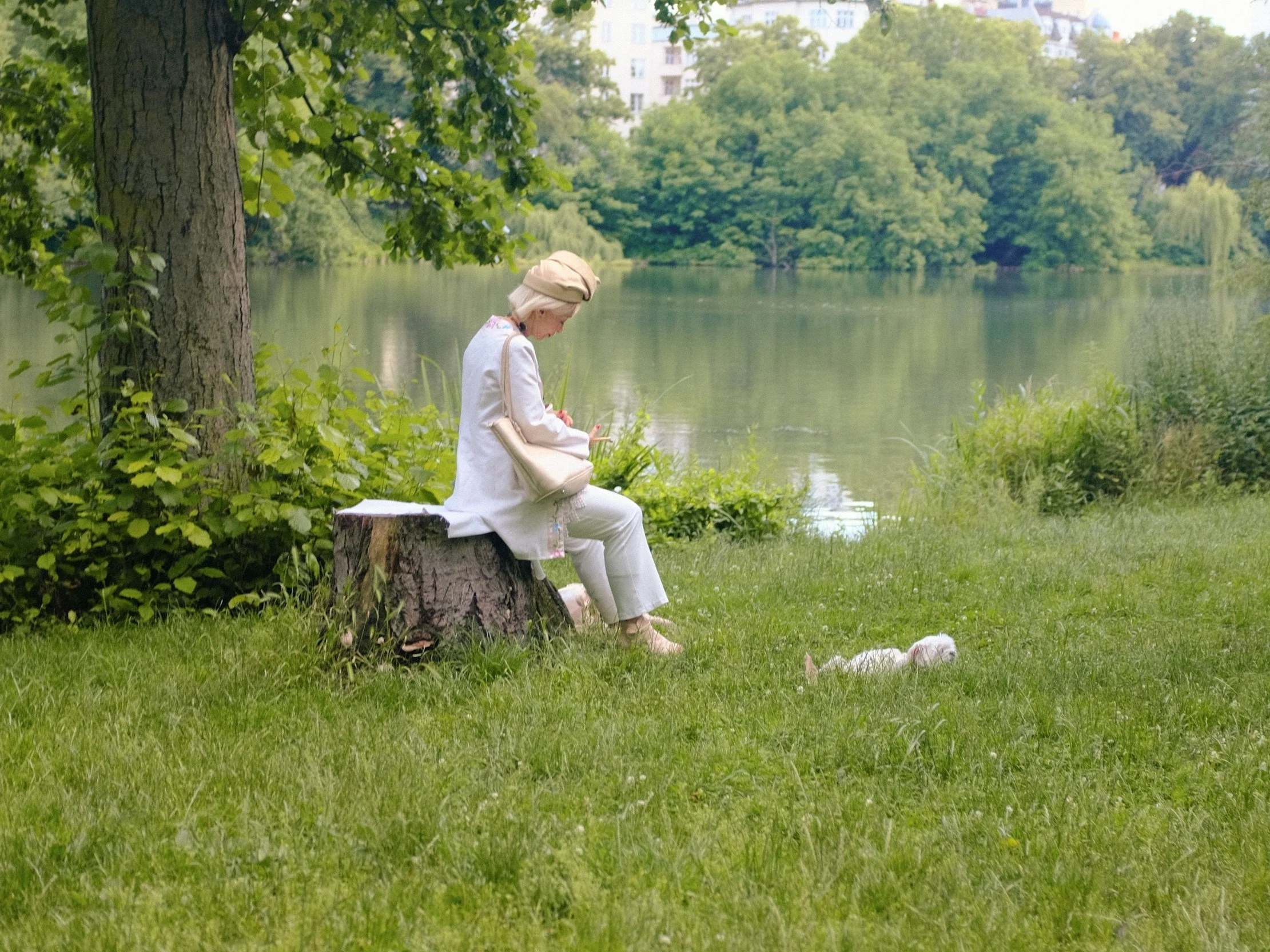 True Freedom Begins When The Spirit Directs Your Steps. Surrender Unlocks Wisdom No Human Effort Can Produce. God Moves Fastest In Yielded Hearts.