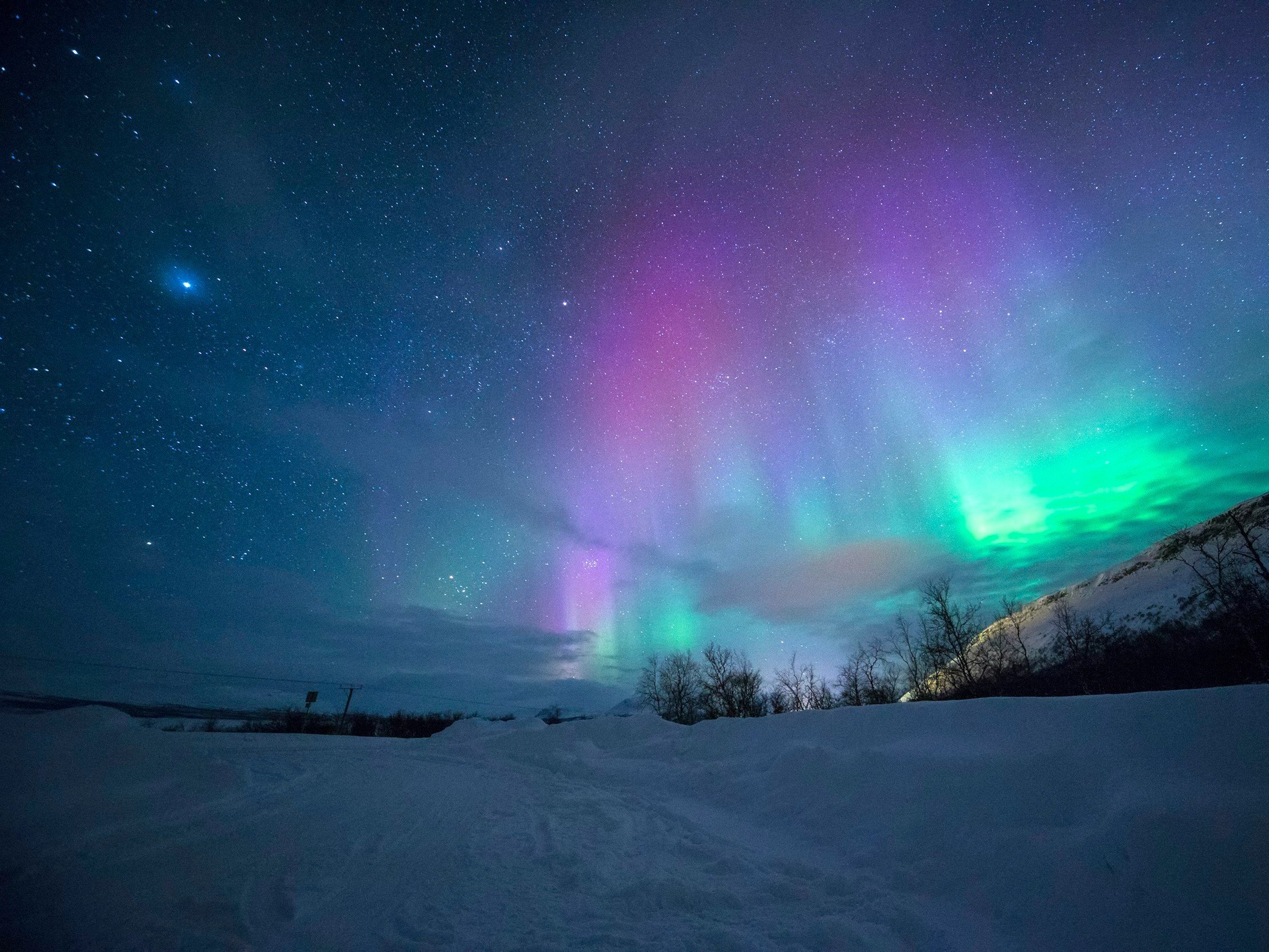 God’s Work Often Feels Silent Before It Becomes Visible. Pruning Is Not Punishment—It’s Preparation For Expansion.