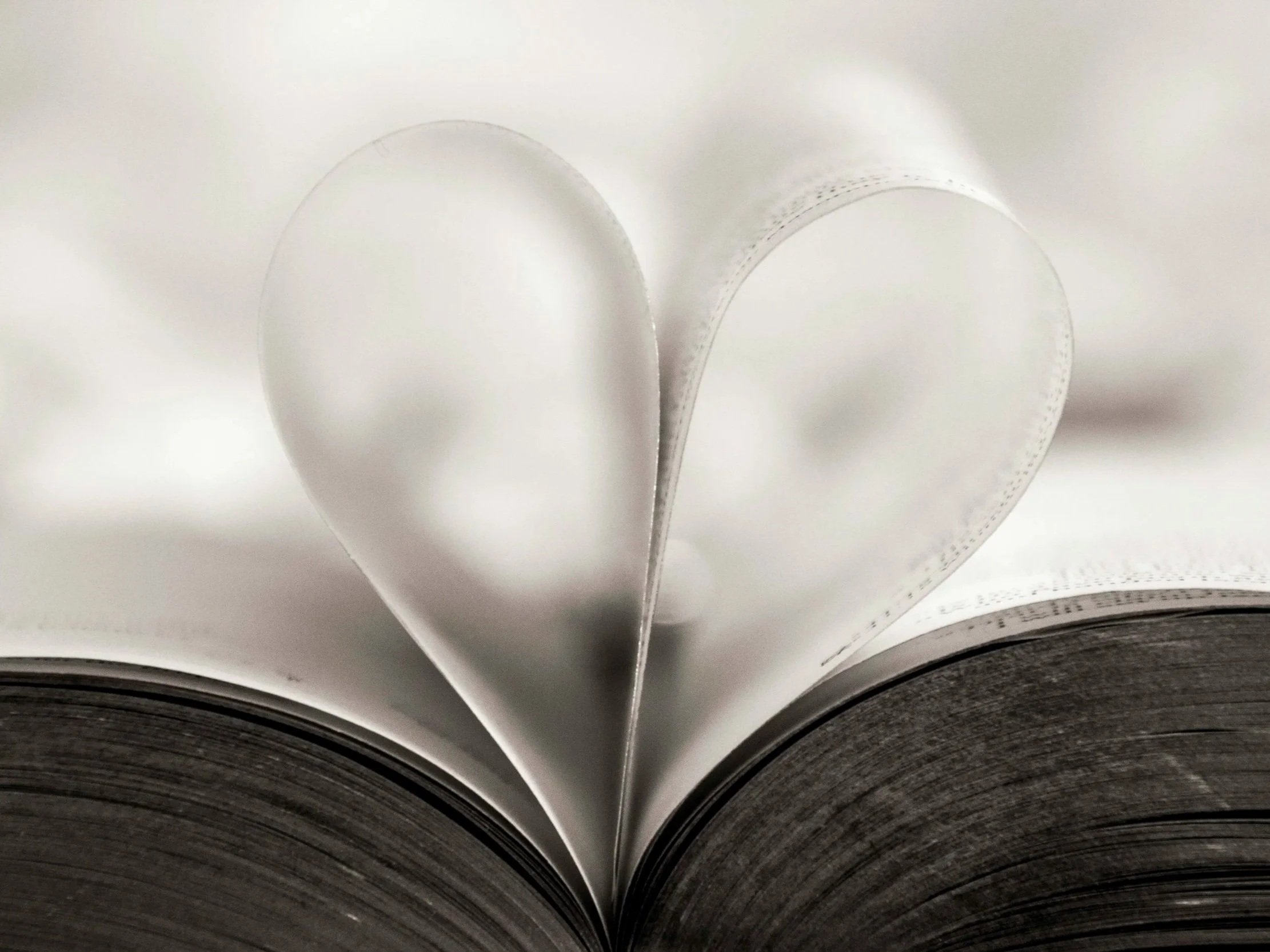 New Birth Reveals Heaven’s Identity Over Your Life. What Once Wounded You Becomes Holy Ground Where God Raises Warriors And Prayer-Filled Homes.