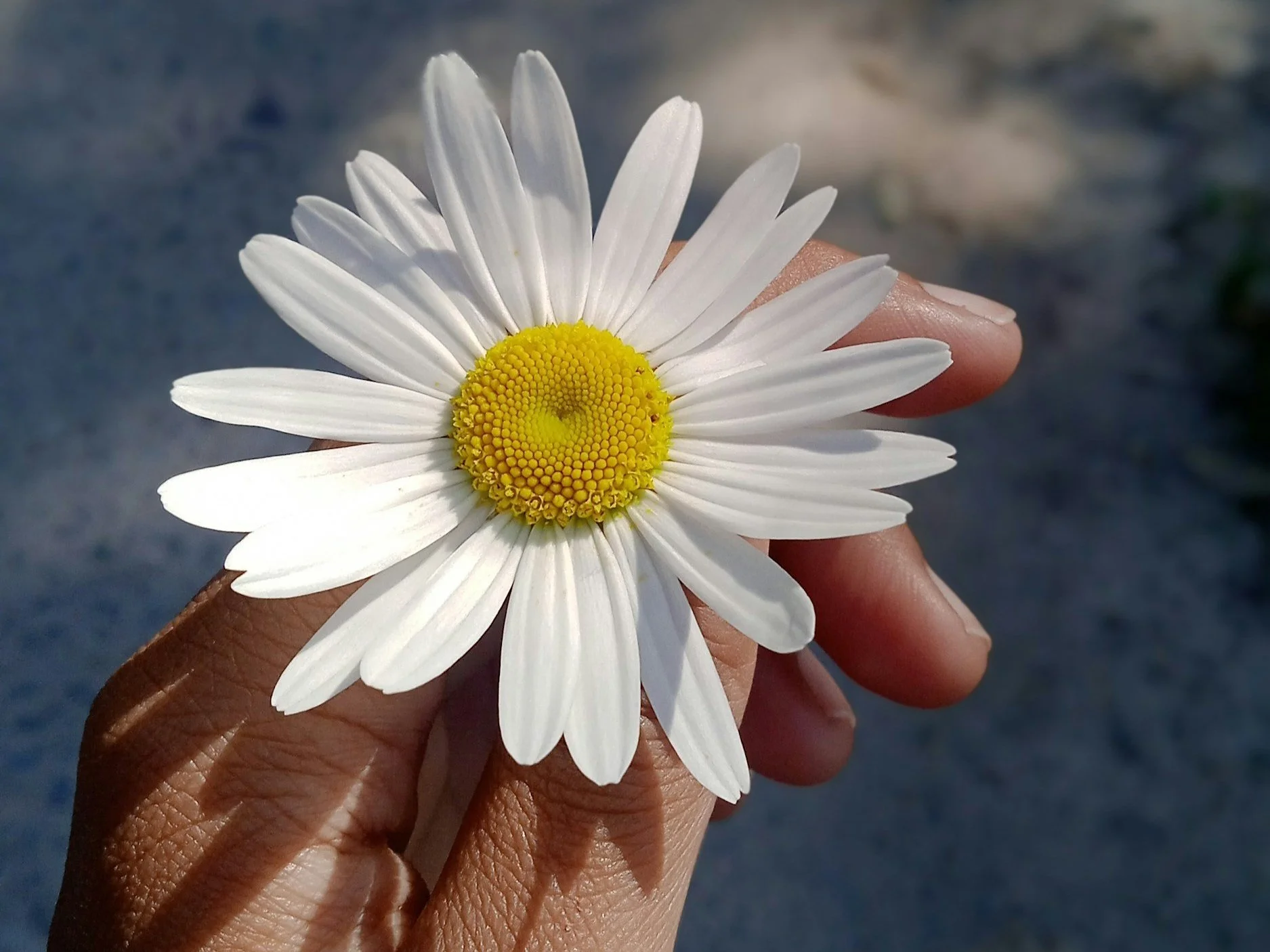 What Feels Like Dismantling Is Divine Construction. The Same Hand That Corrects Is The Hand That Protects.