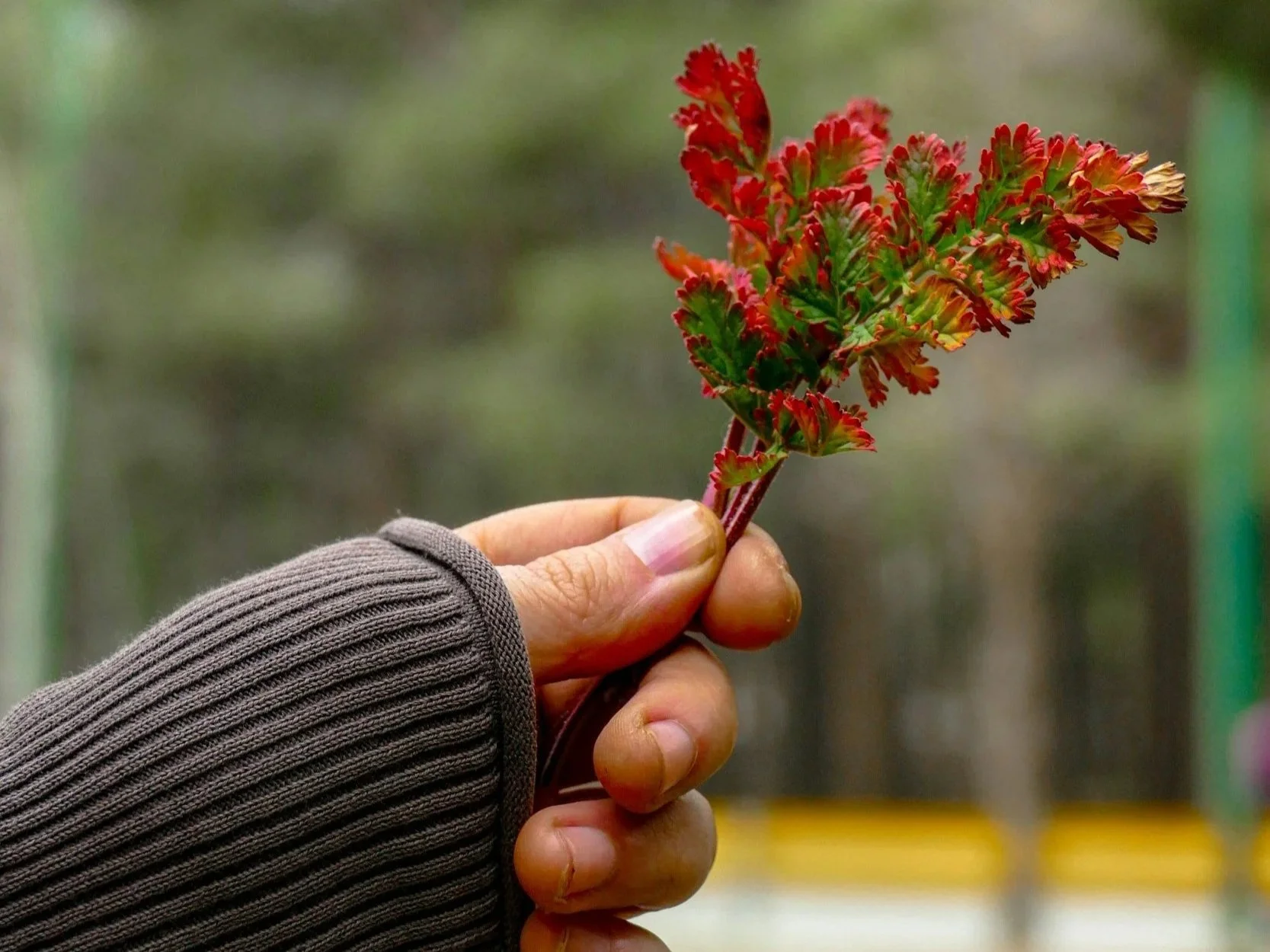 Fear Shouts, But Faith Rests. When You Know Who Holds You, Chaos Loses Its Authority.