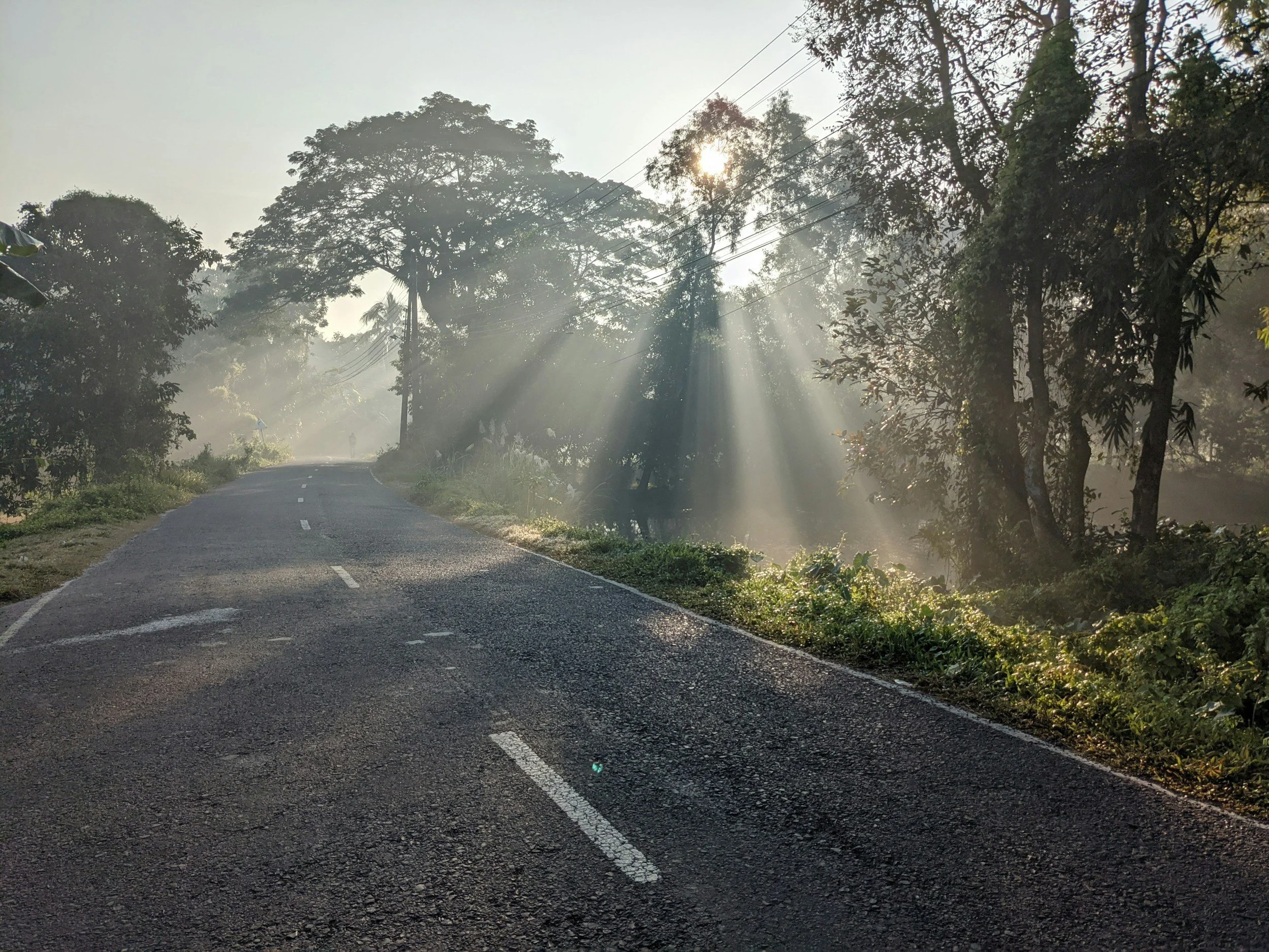 Interruptions Can Carry Divine Purpose. What Shakes Your Plans May Be The Very Thing Aligning Your Destiny. There Is A Gift Hidden In Disruption. 