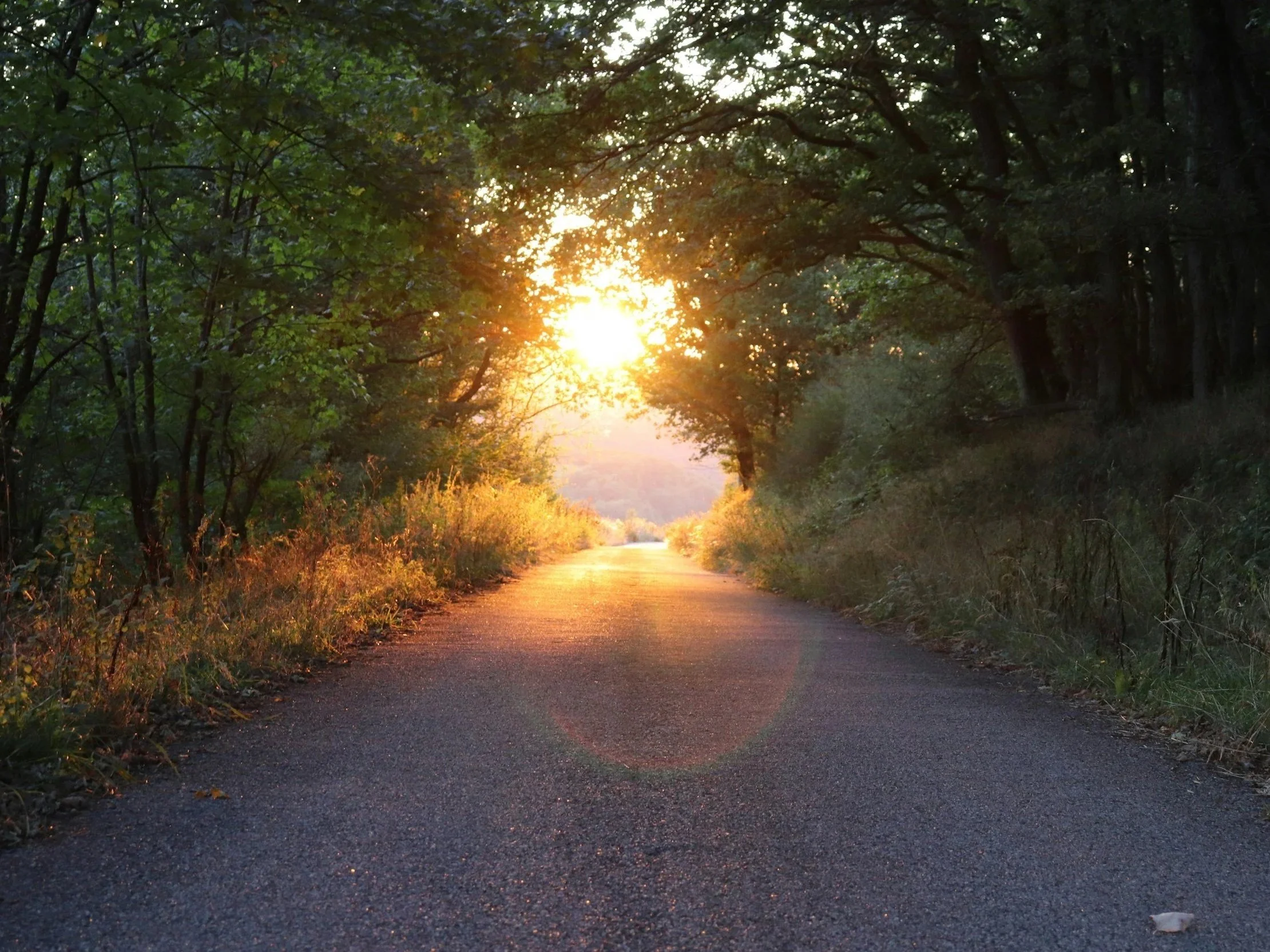 The Route Changed, But God Did Not. His Faithfulness Remains Steady Even When The Map No Longer Makes Sense.