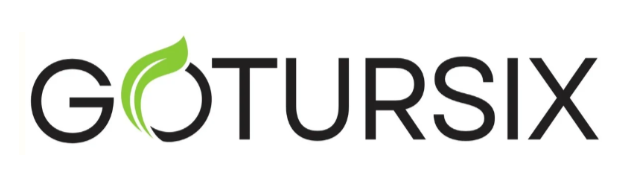 GOTURSIX Organizational Framework