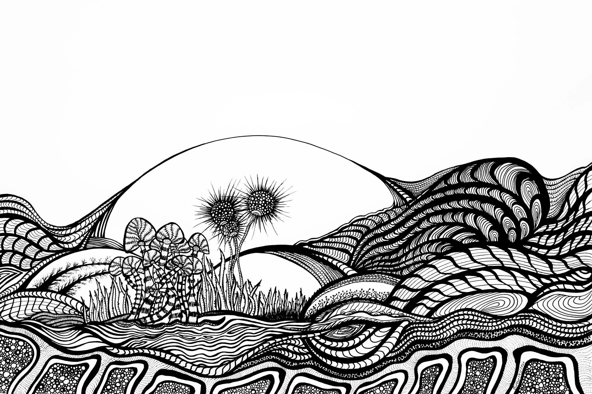 Dessin à l'encre / Ink drawing 12x18 po/in