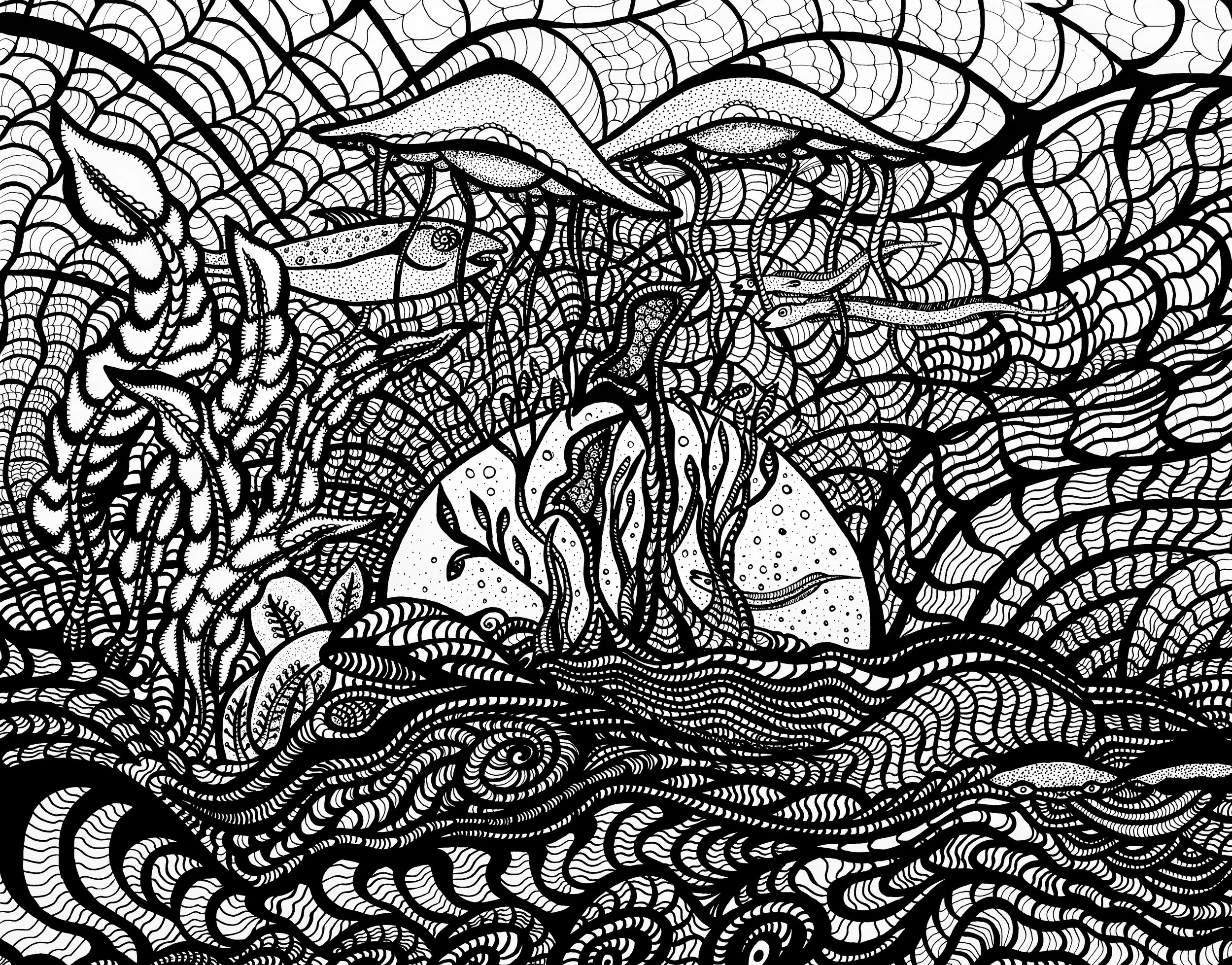 Dessin à l'encre / Ink drawing 11x14 po/in