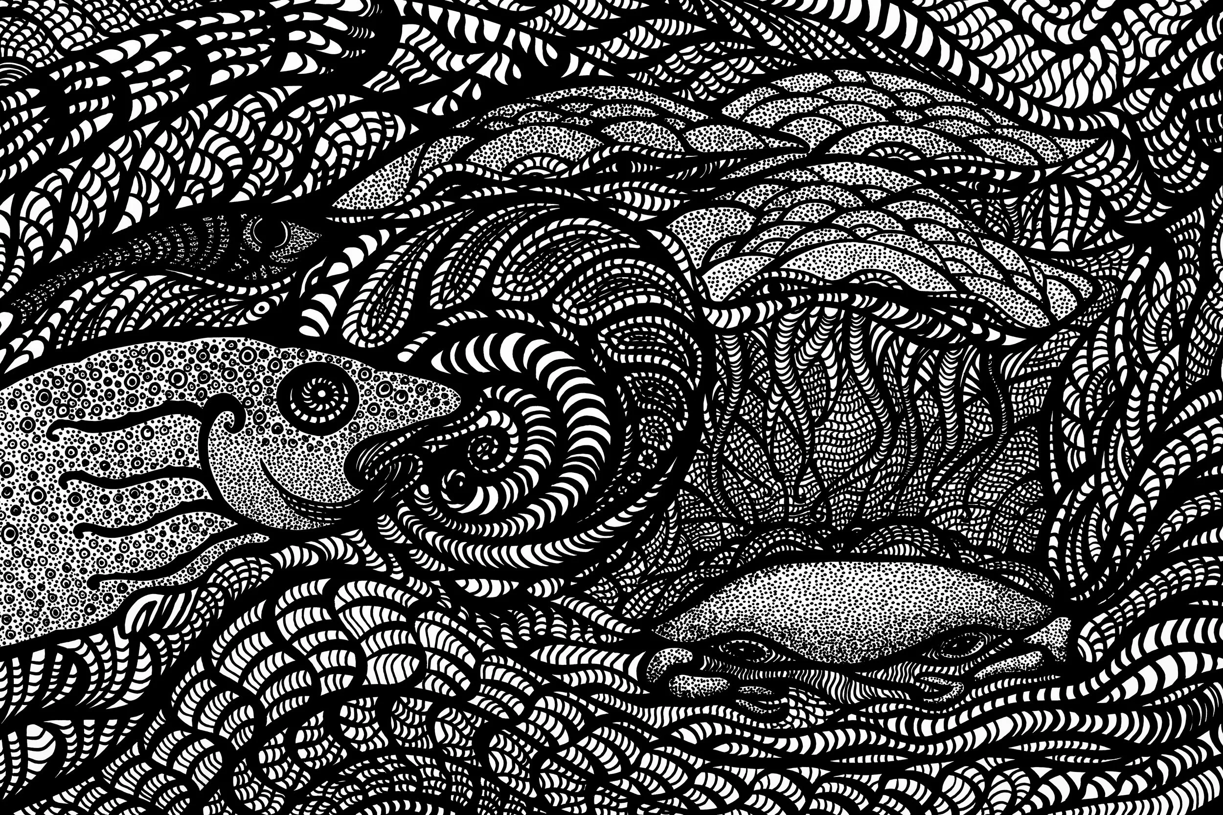 Dessin à l'encre / Ink drawing 12x18 po/in
