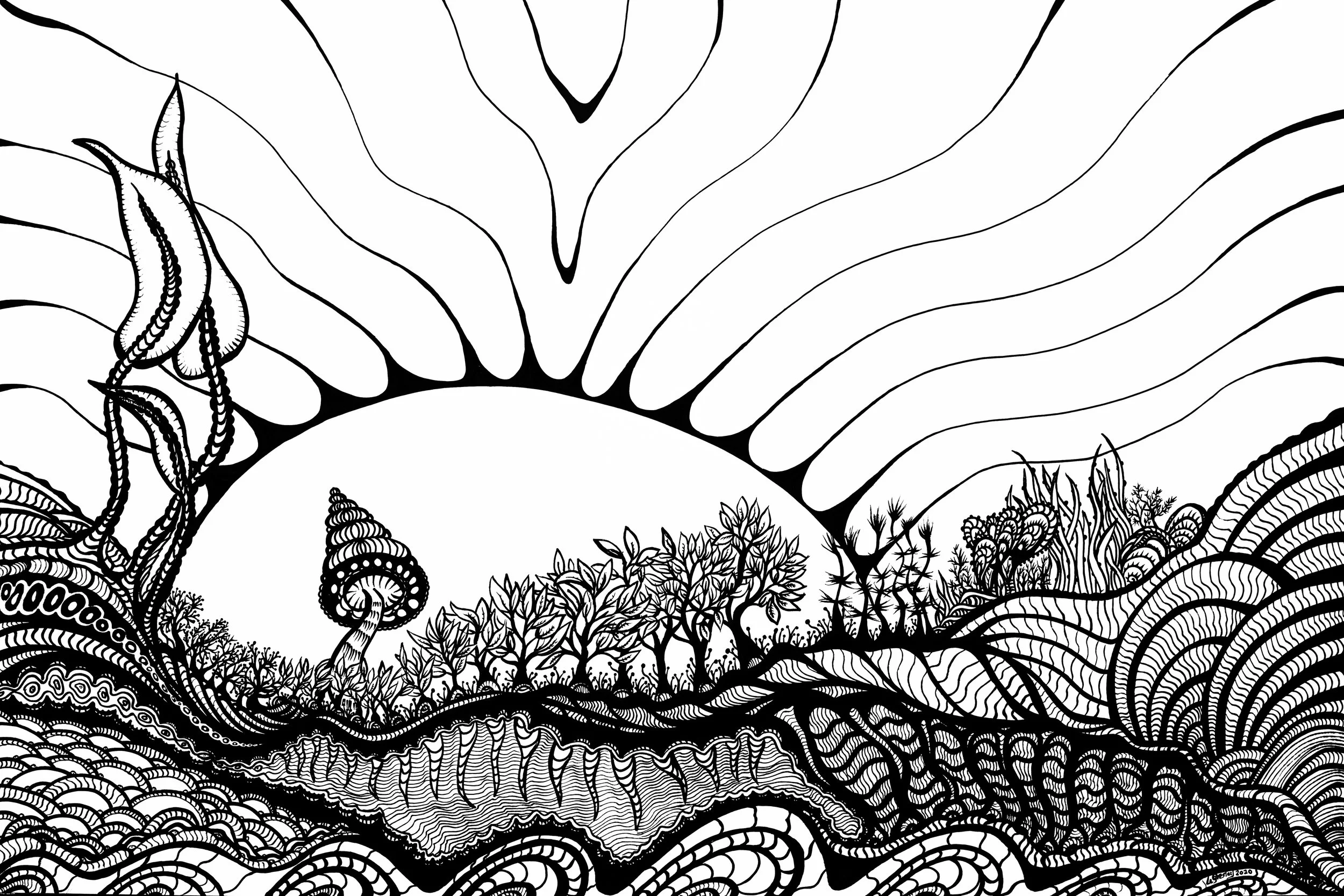 Dessin à l'encre / Ink drawing 12x18 po/in