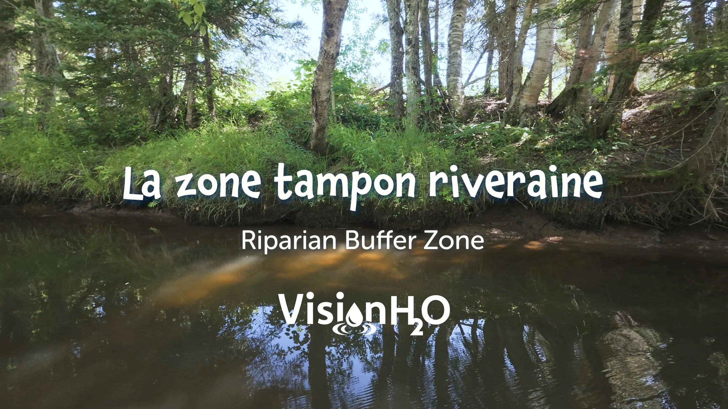 Tournage et montage d'une série de vidéos pour Vision H2O. Voir lien web en cliquant l'image / Filming and editing a video series for Vision H2O. Click image to view 