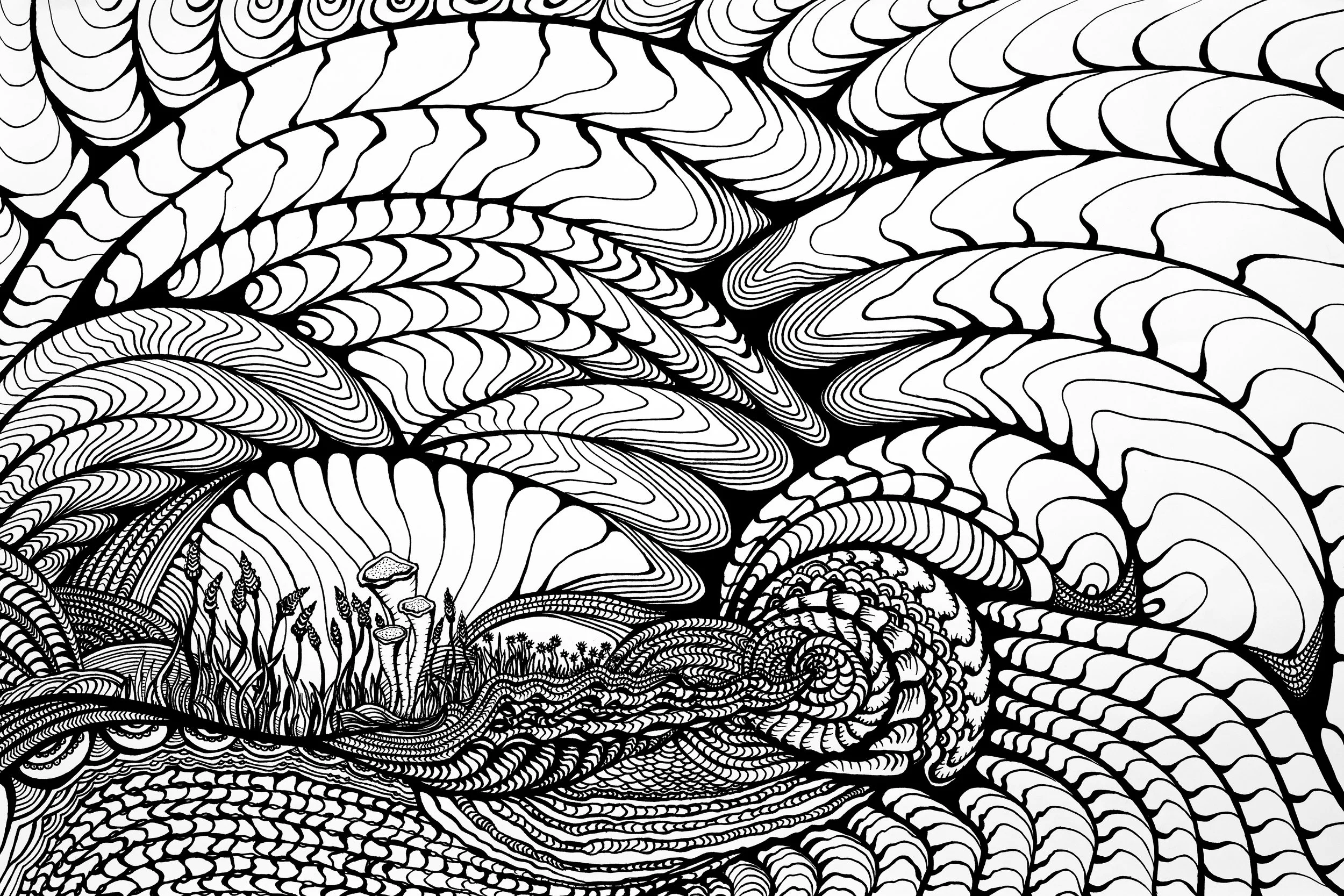 Dessin à l'encre / Ink drawing 12x18 po/in