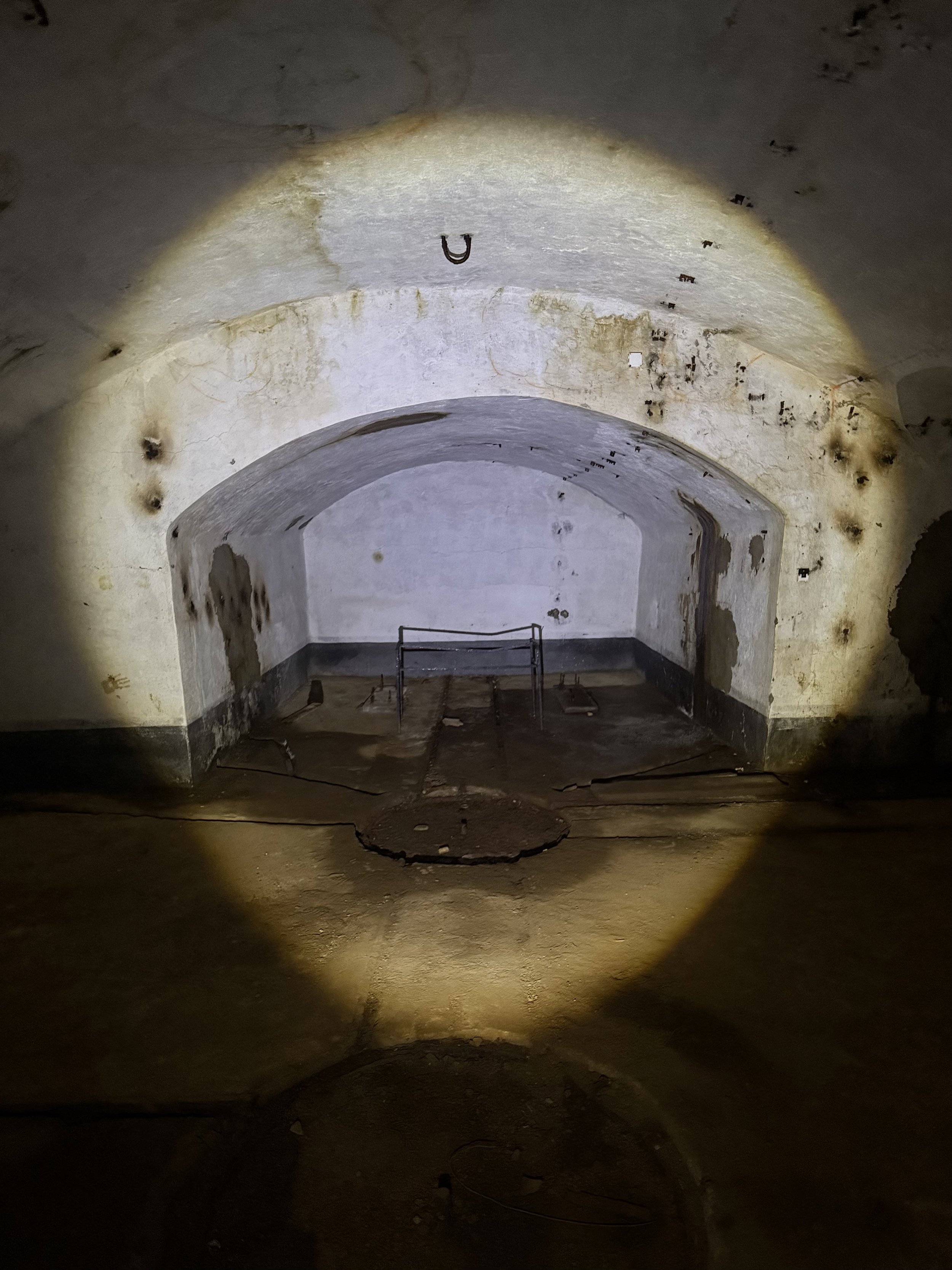 "Silence of the Lambs," Lastovo