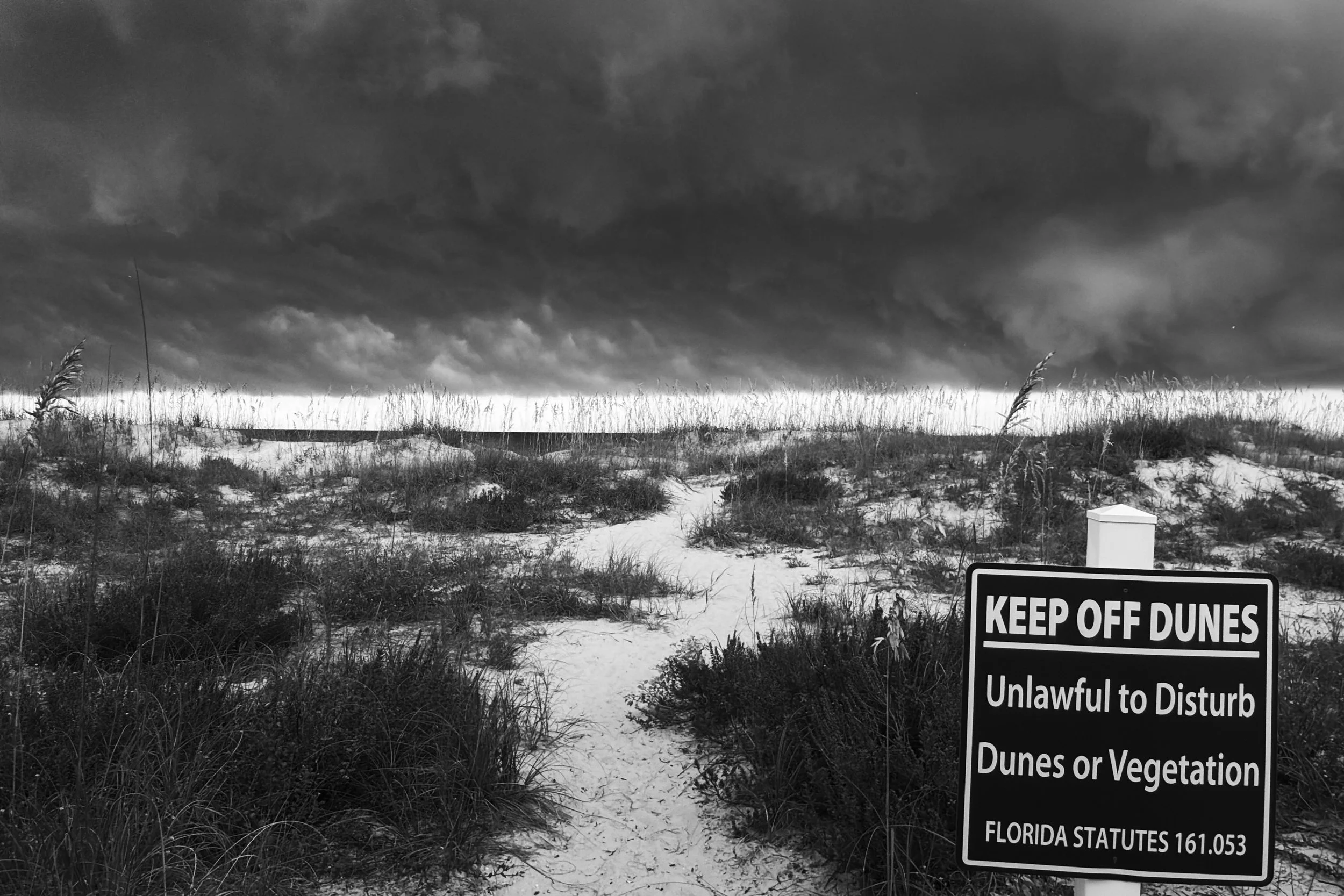 "Keep Off the Dunes #2" Amelia Island Plantation, Florida