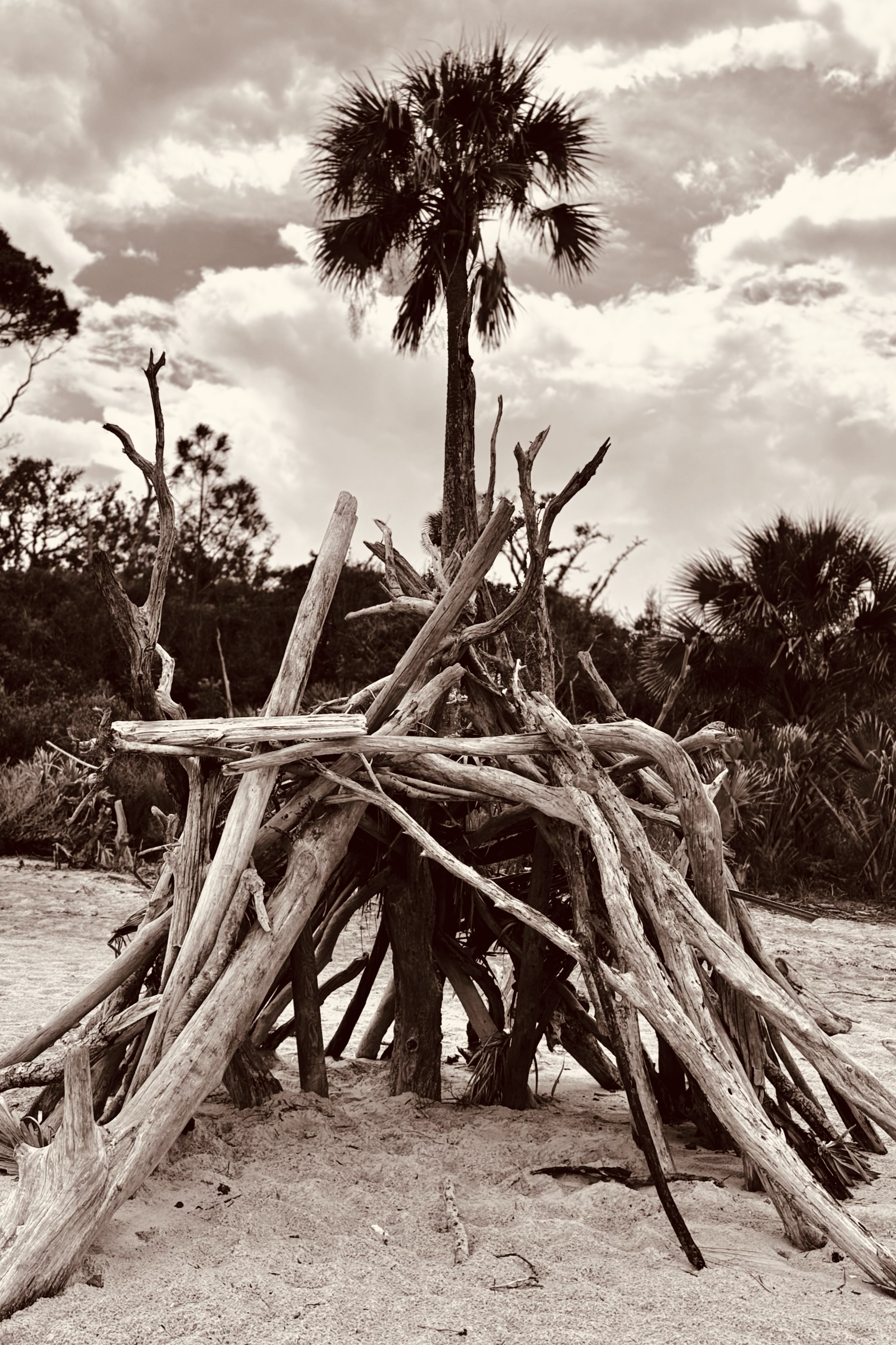 "Fort Driftwood," Boneyard Beach, Big Talbot Island State Park, Florida
