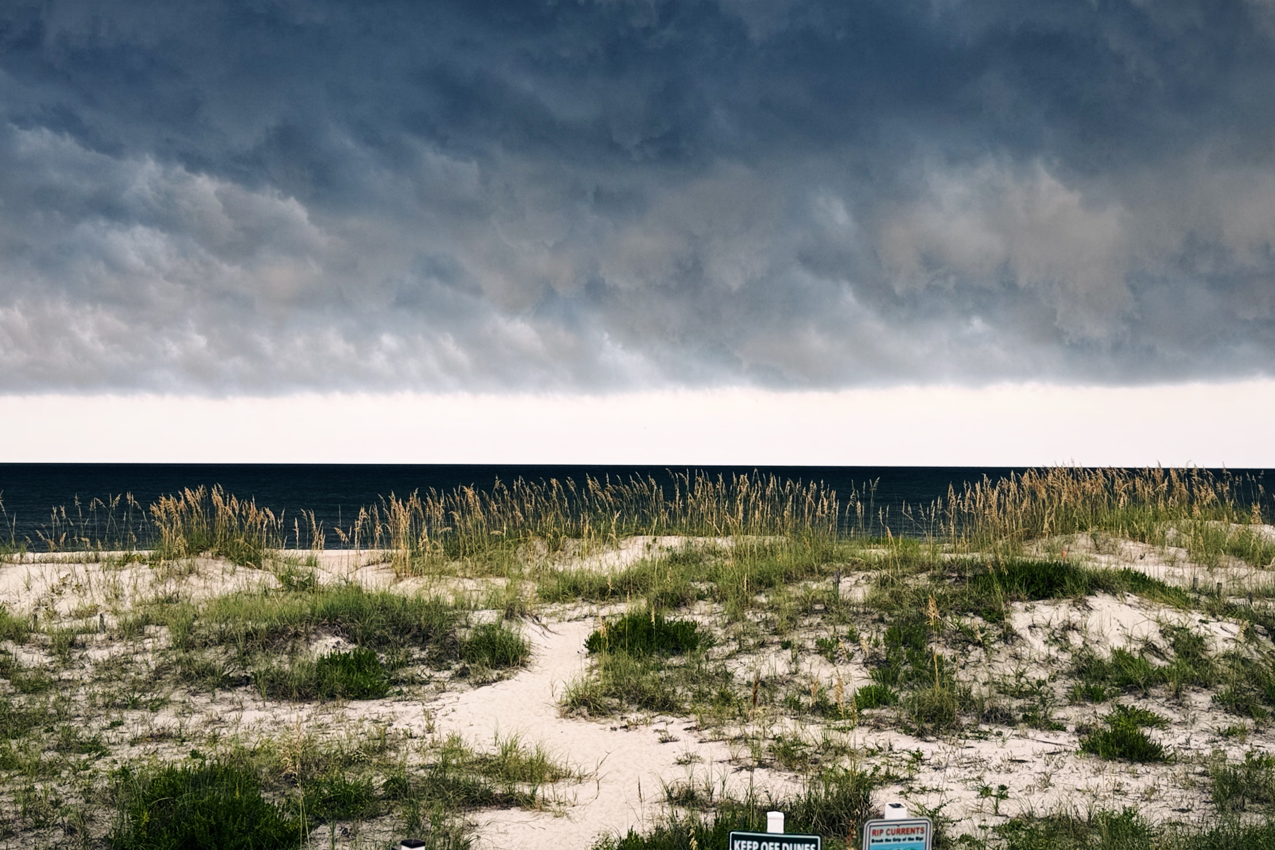 "Keep Off Dunes #1," Amelia Island Plantation, Florida