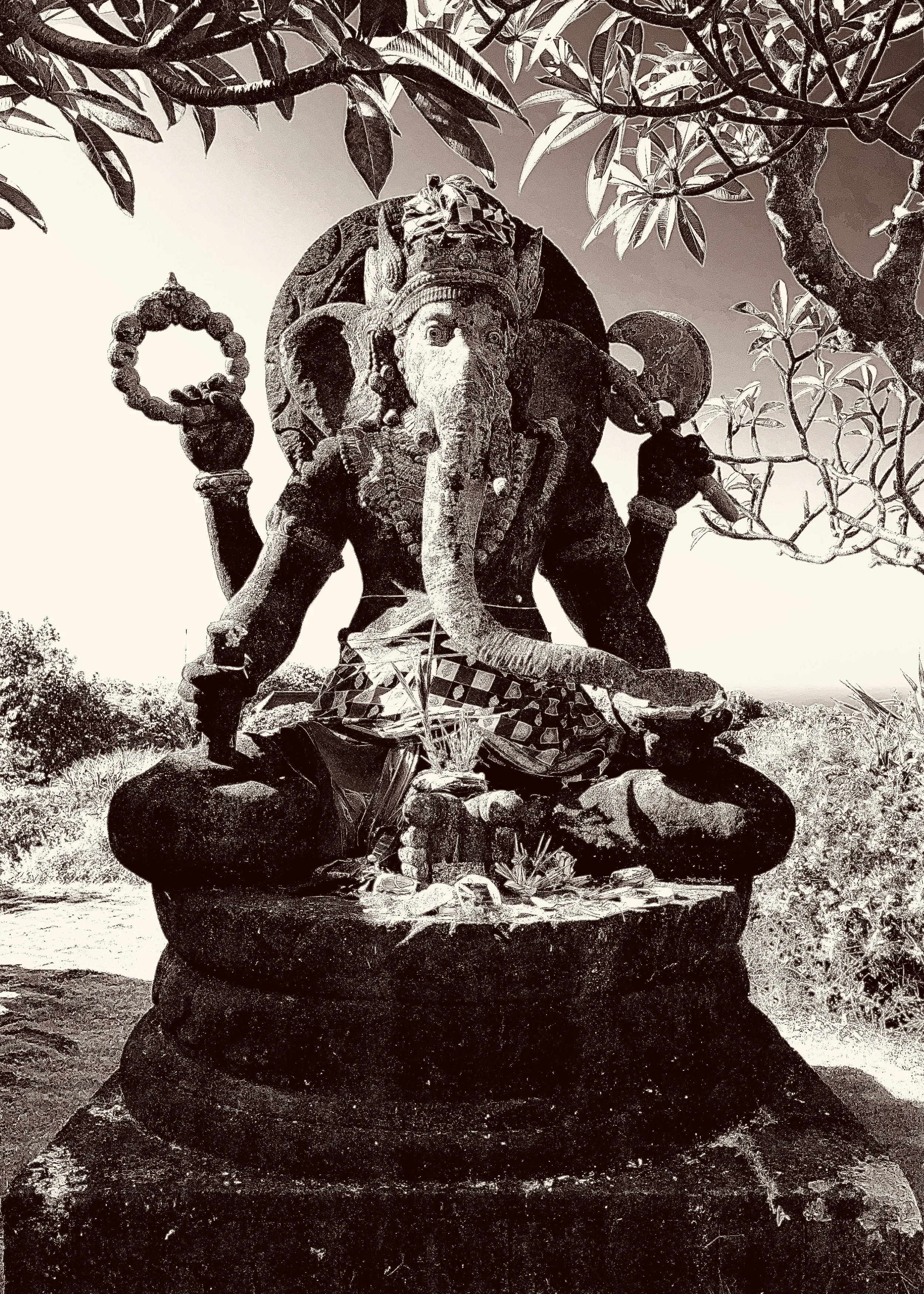 "Elephant Man," Bvlgari, Bali