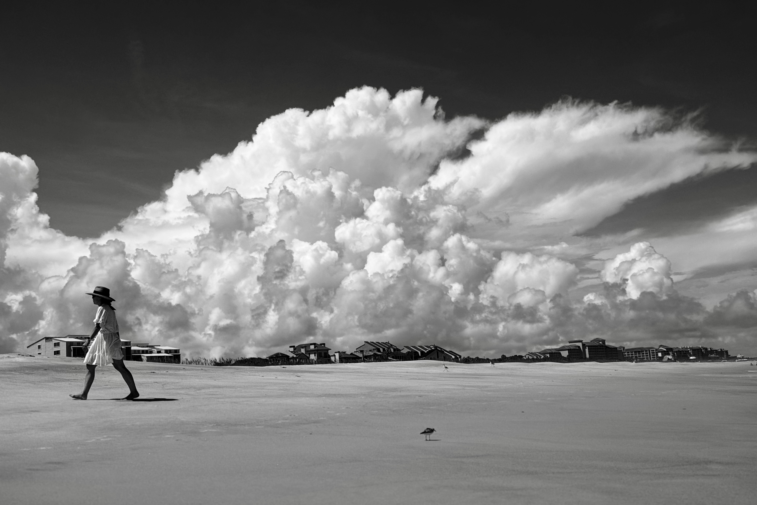 "Defying the Storm," Amelia Island Plantation, Florida