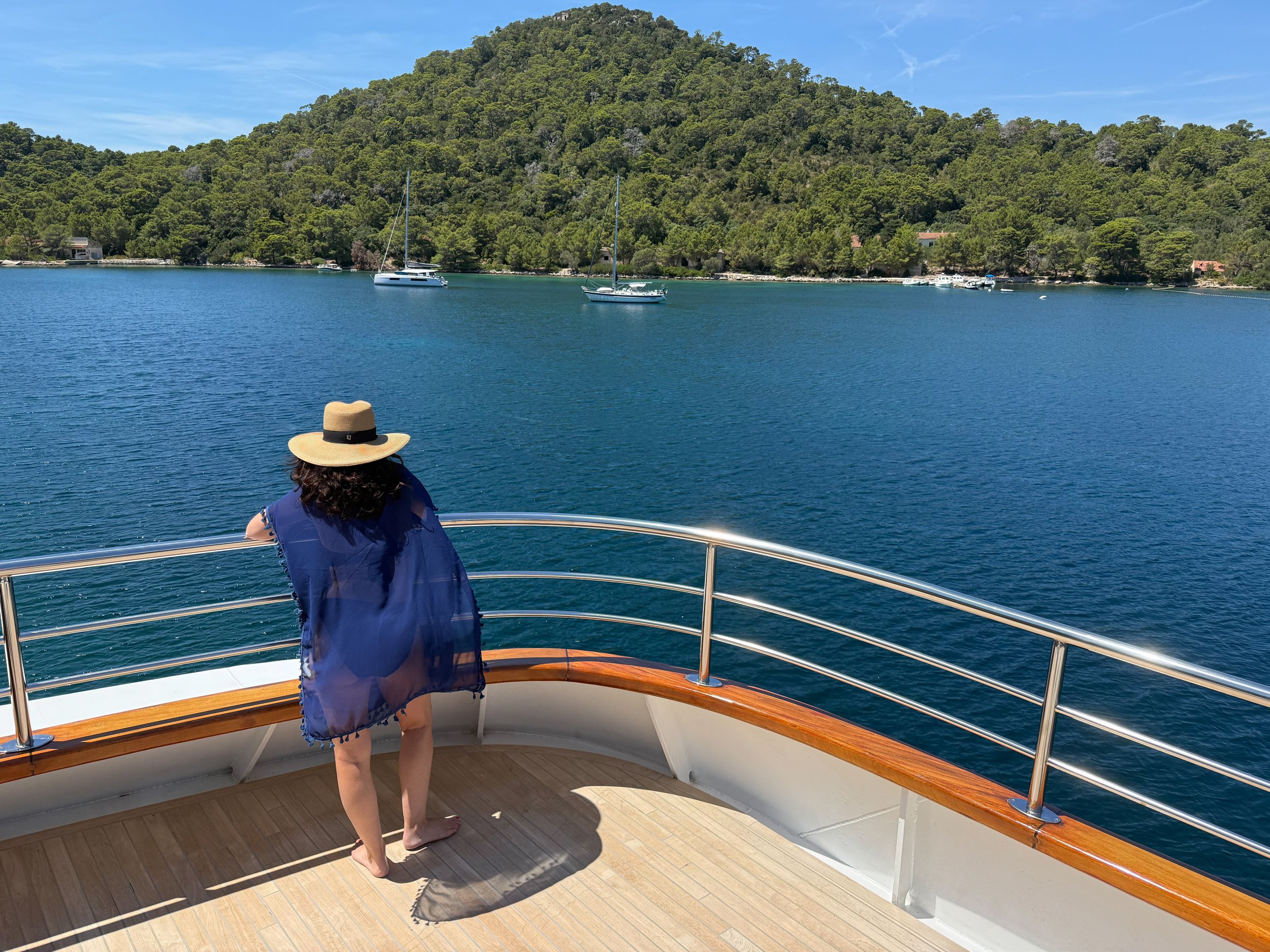 "Lookout," Dalmatian Coast