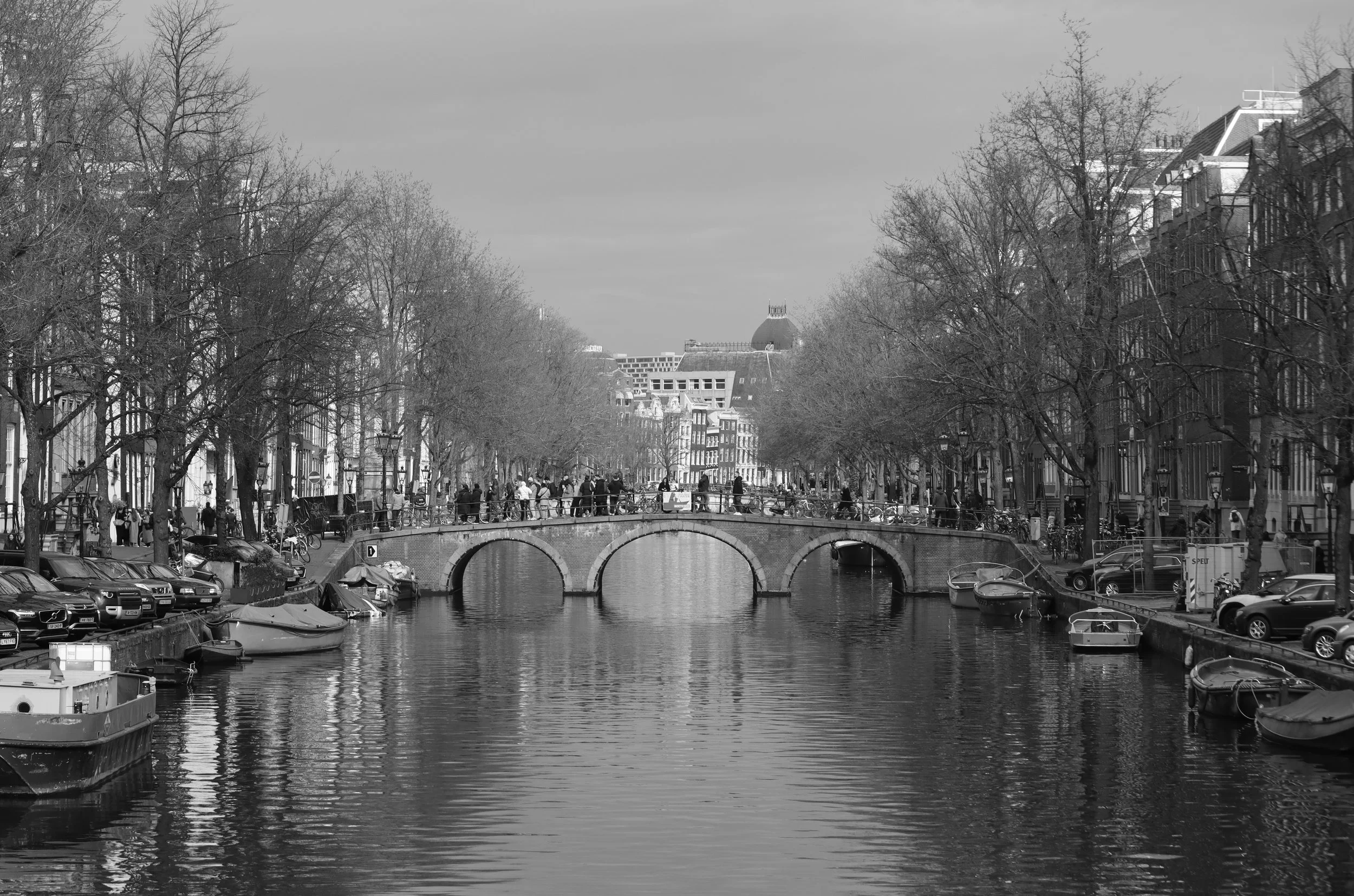 IMG_2603.jpg