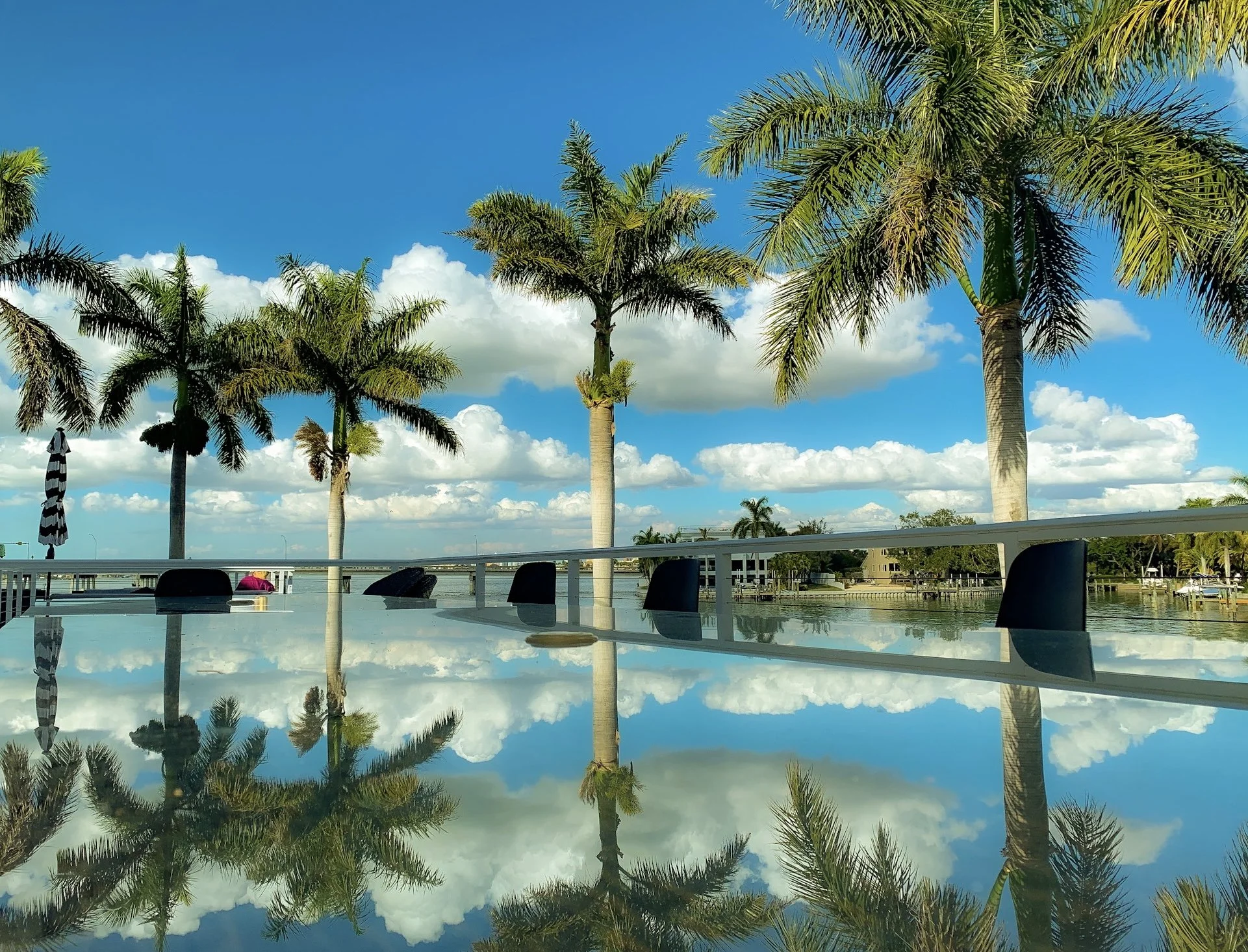 IMG_8162.jpg