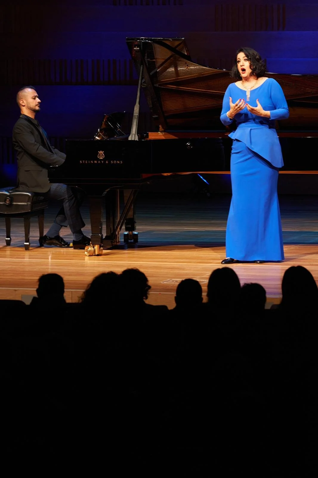 Master the piano with private lessons from Dr. Hayk Arsenyan, a celebrated pianist and mentor in Manhattan.