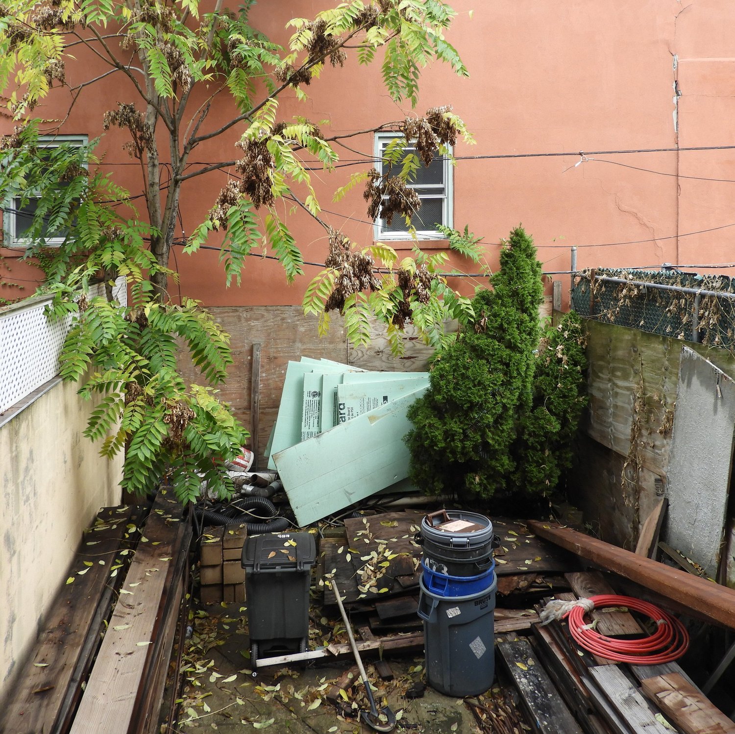 Original Backyard Condition
