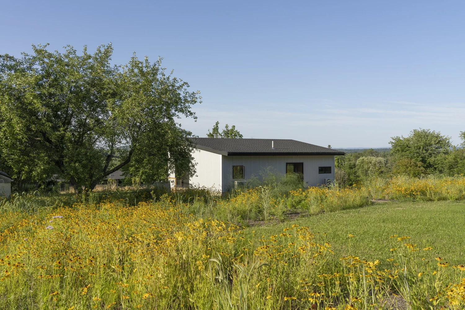 Hemp Art Studio, the studio from the wildflower meadow
