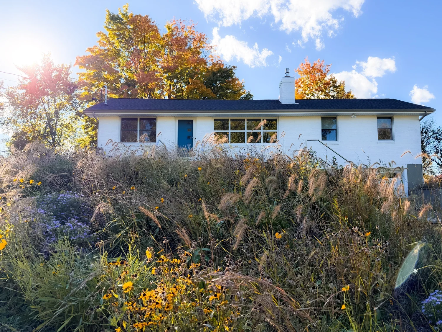 Drumlin House, the house above the meadow garden, photograph by tami banh