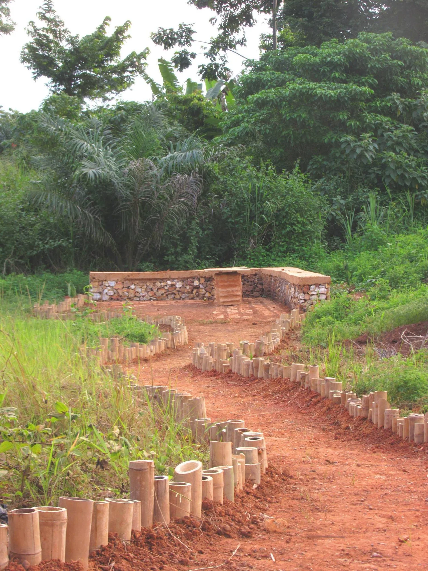Mudhouse, garden path edged with bamboo