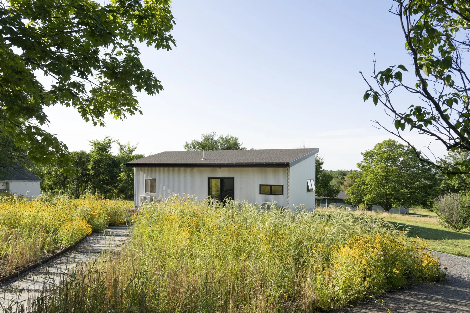 Hemp Art Studio, path through the meadow to the studio