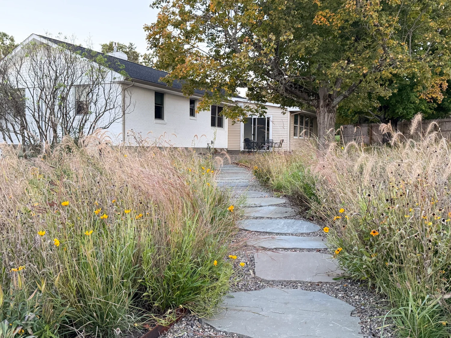 Drumlin House, stone path through the meadow to the house, photograph by tami banh