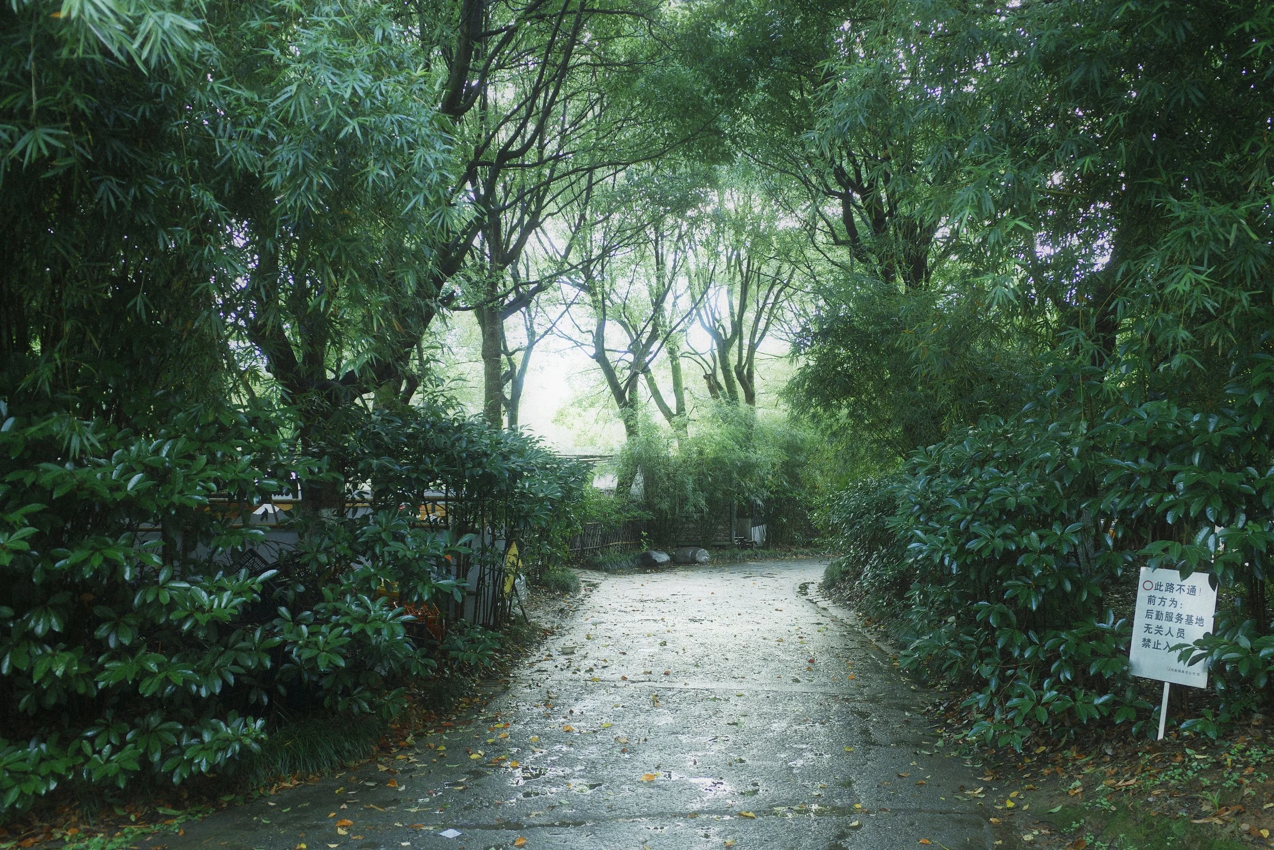 1783102884000__R003559.JPG