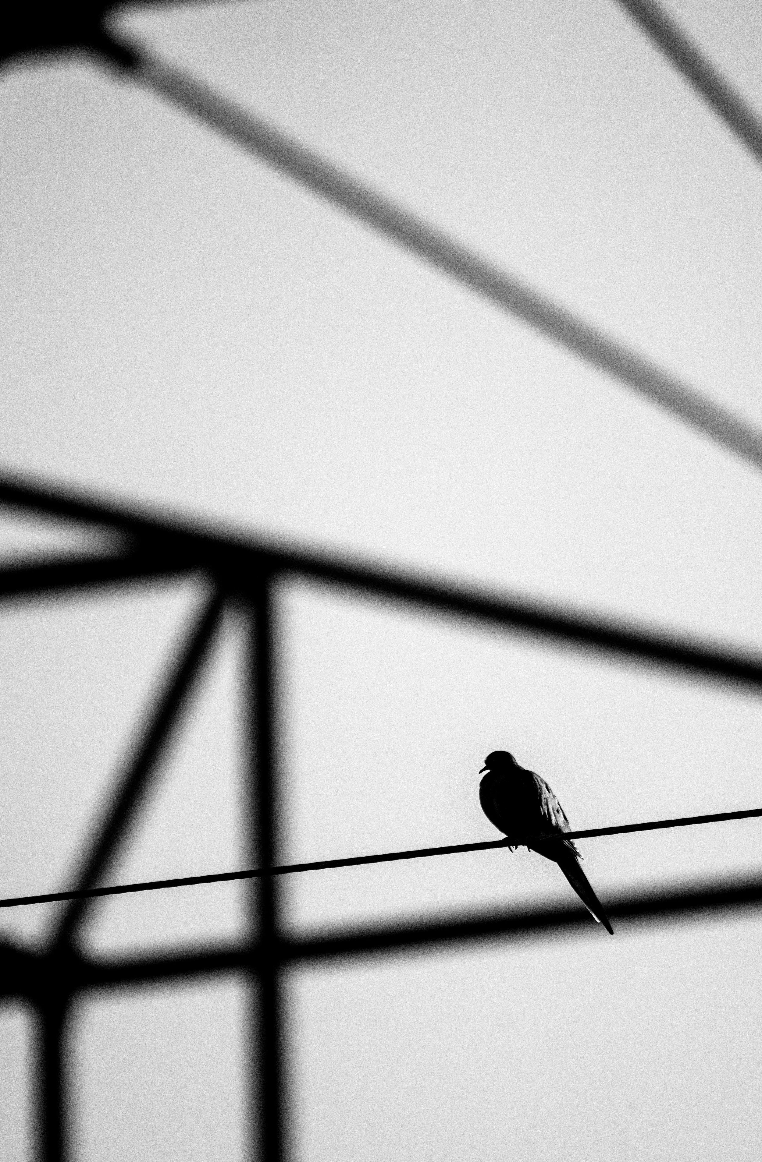 211225-001-Edit.jpg