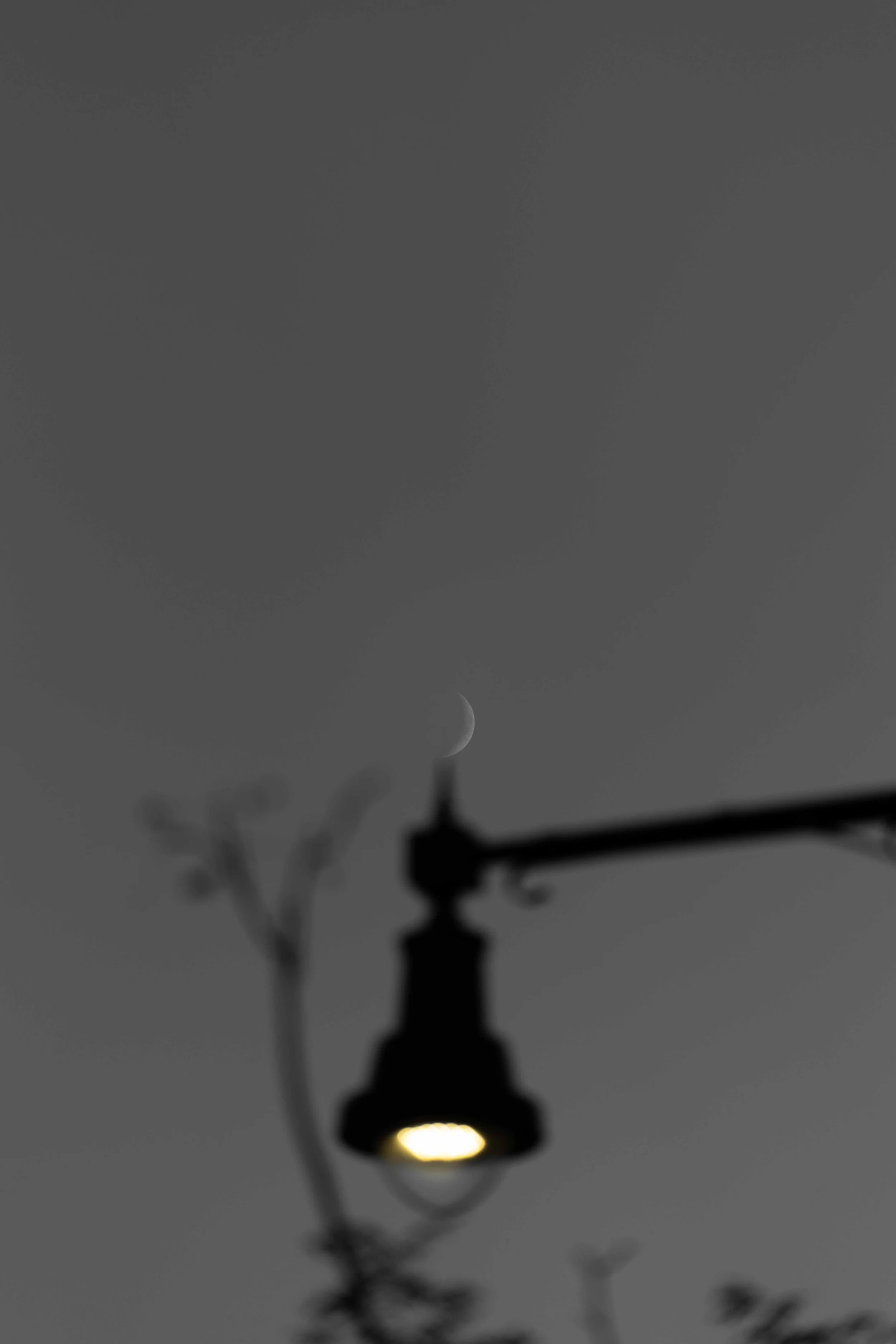 _FBY8036.jpg
