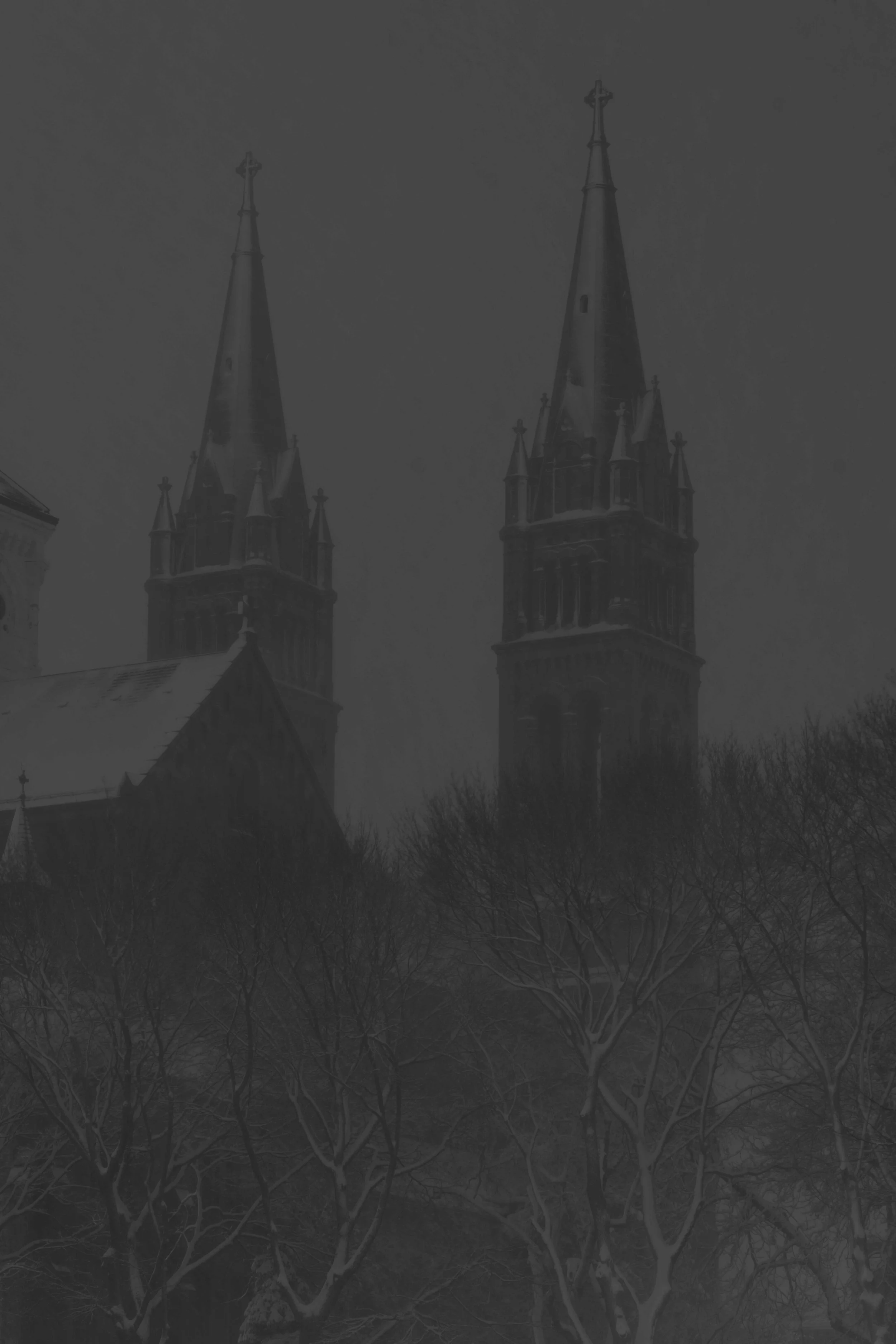 241221-046.jpg