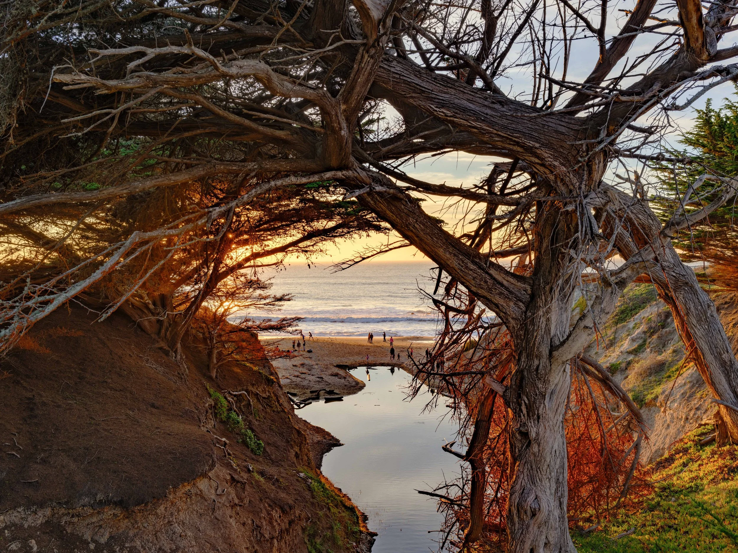 251127-232-HDR.jpg