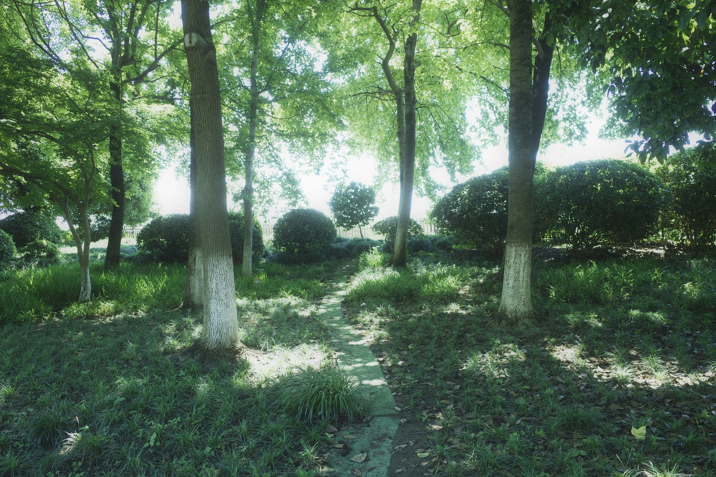 1782991879000__R003426.JPG