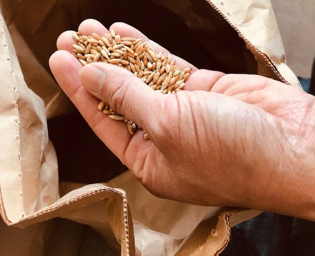 Wild Yeast Workshop