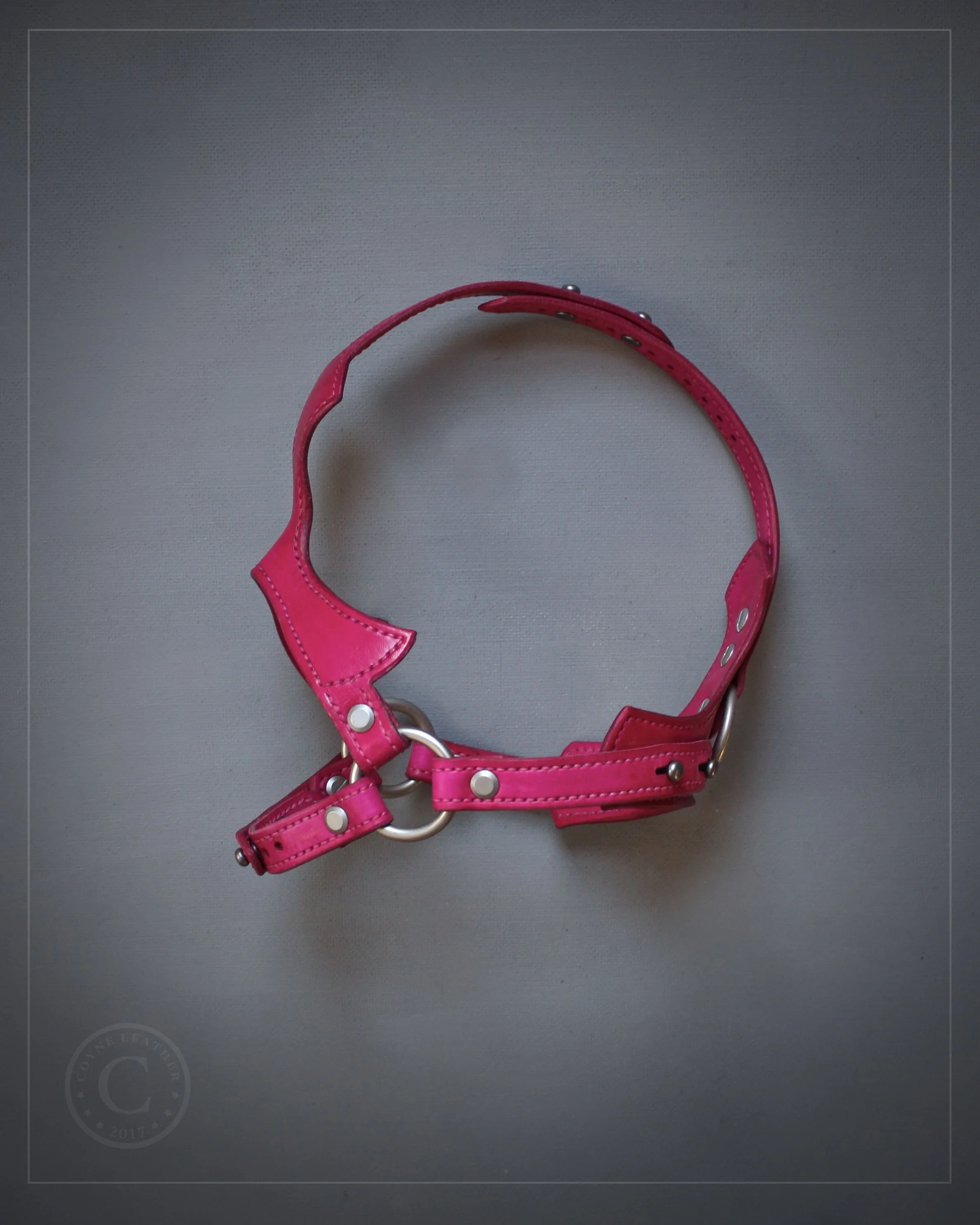 FaceHarness_Pink.jpg