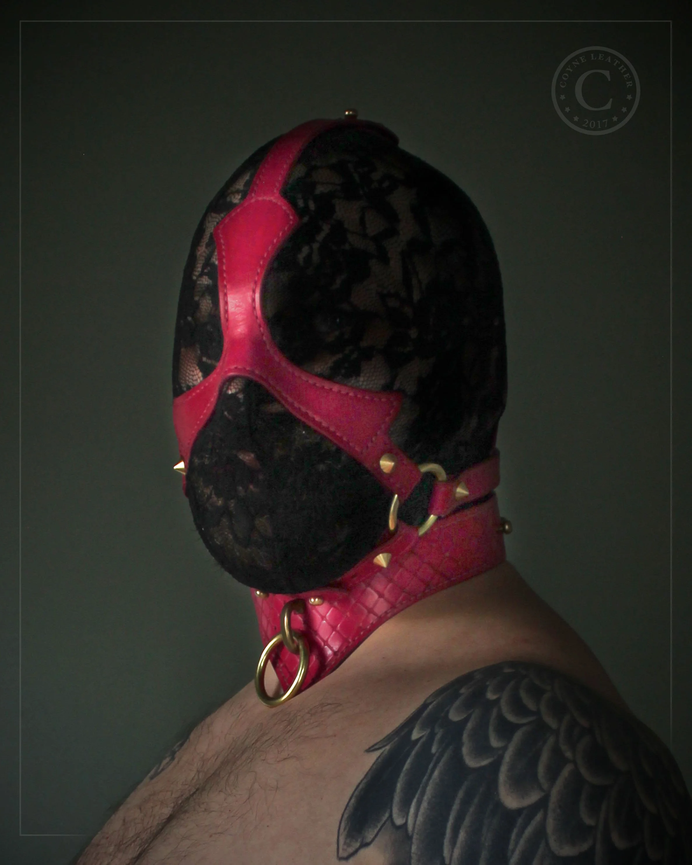 pink_faceharness_F.jpg