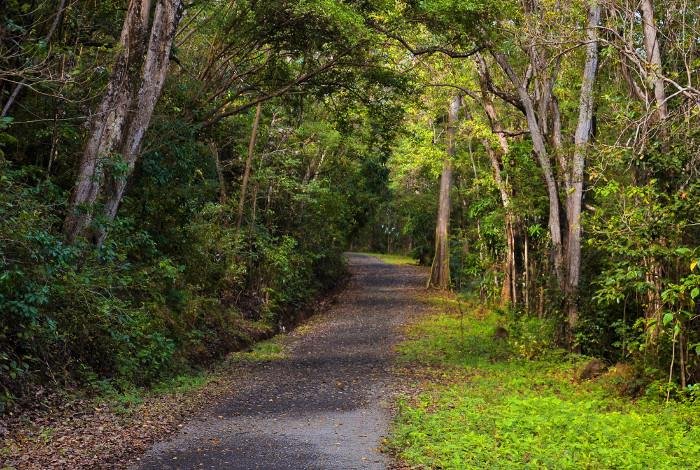 Mount-Pimard-Rodney-Bay-St.Lucia-03.jpeg