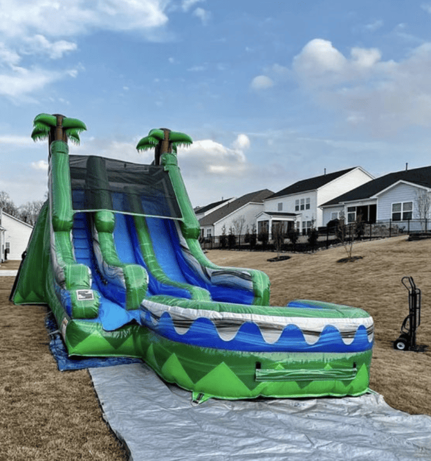 Tropical Double Lane Water Slide