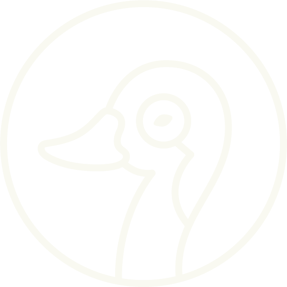 Swan Creek Vision Optometry Swanton, OH