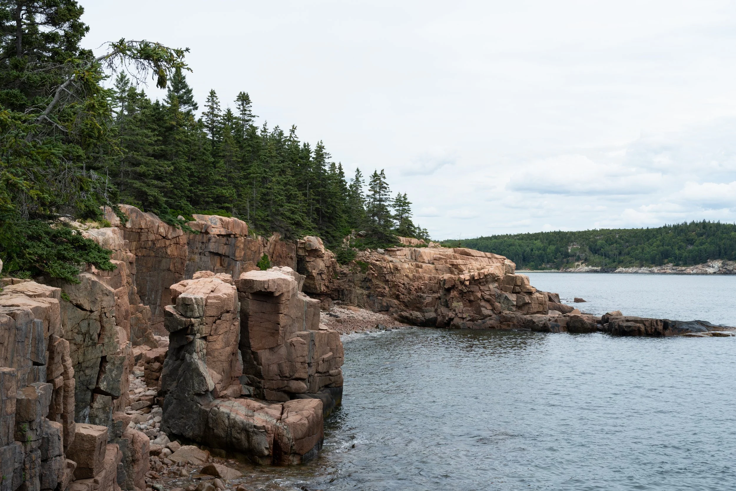 _DSC0078_1.jpg