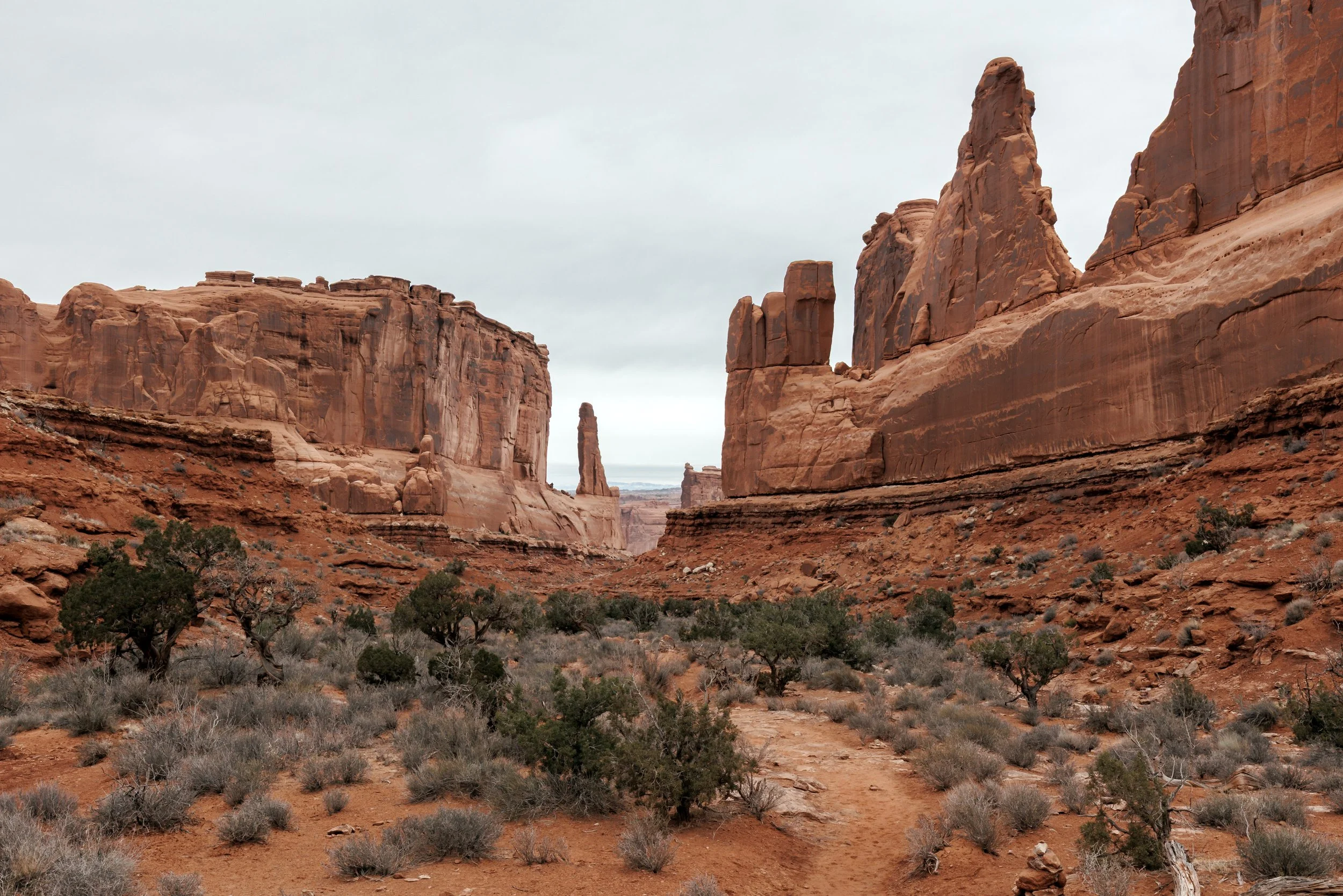 Mar 08 2023 _26A4214.jpg